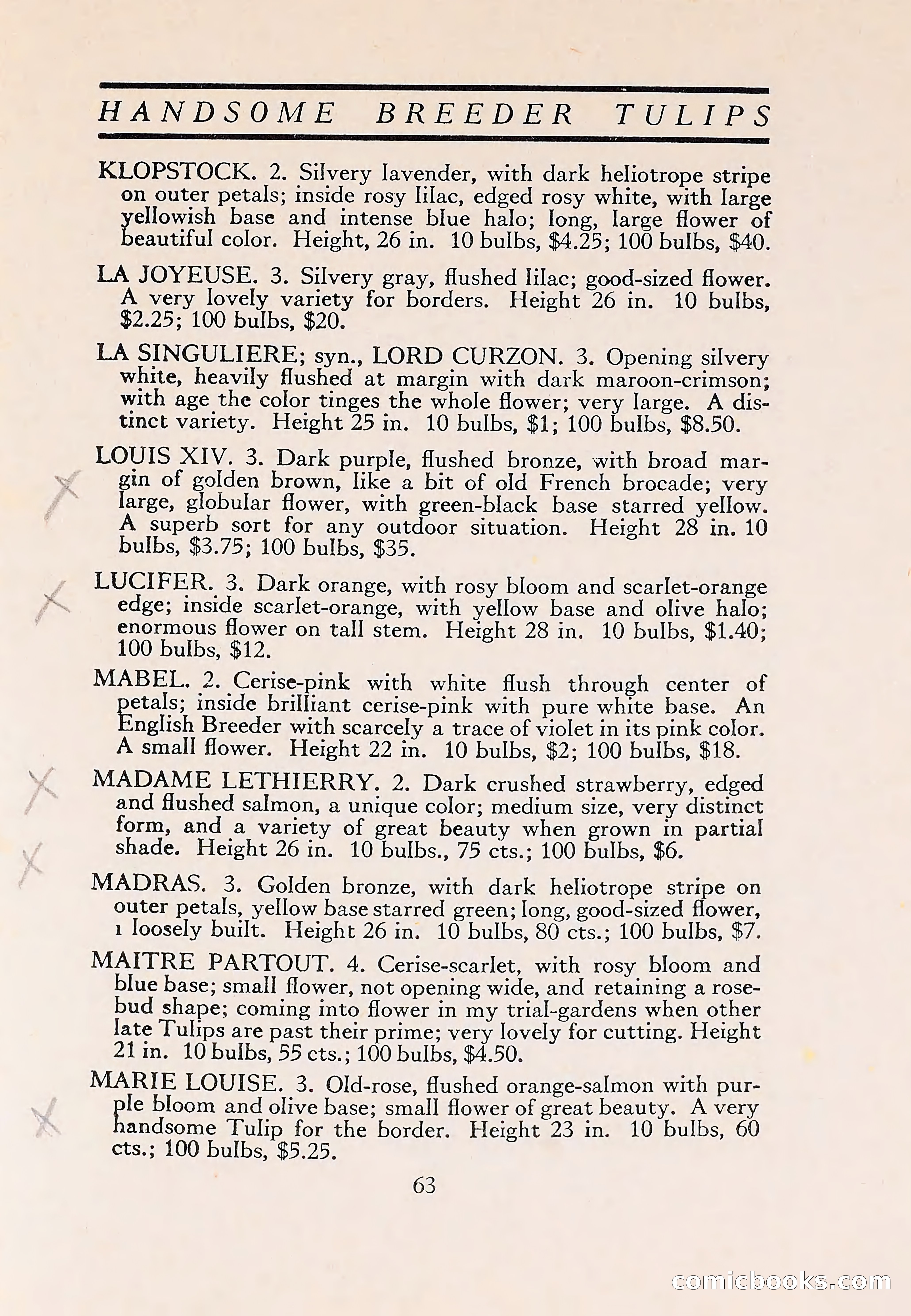 The Blue Book of Bulbs — page 67 of 110