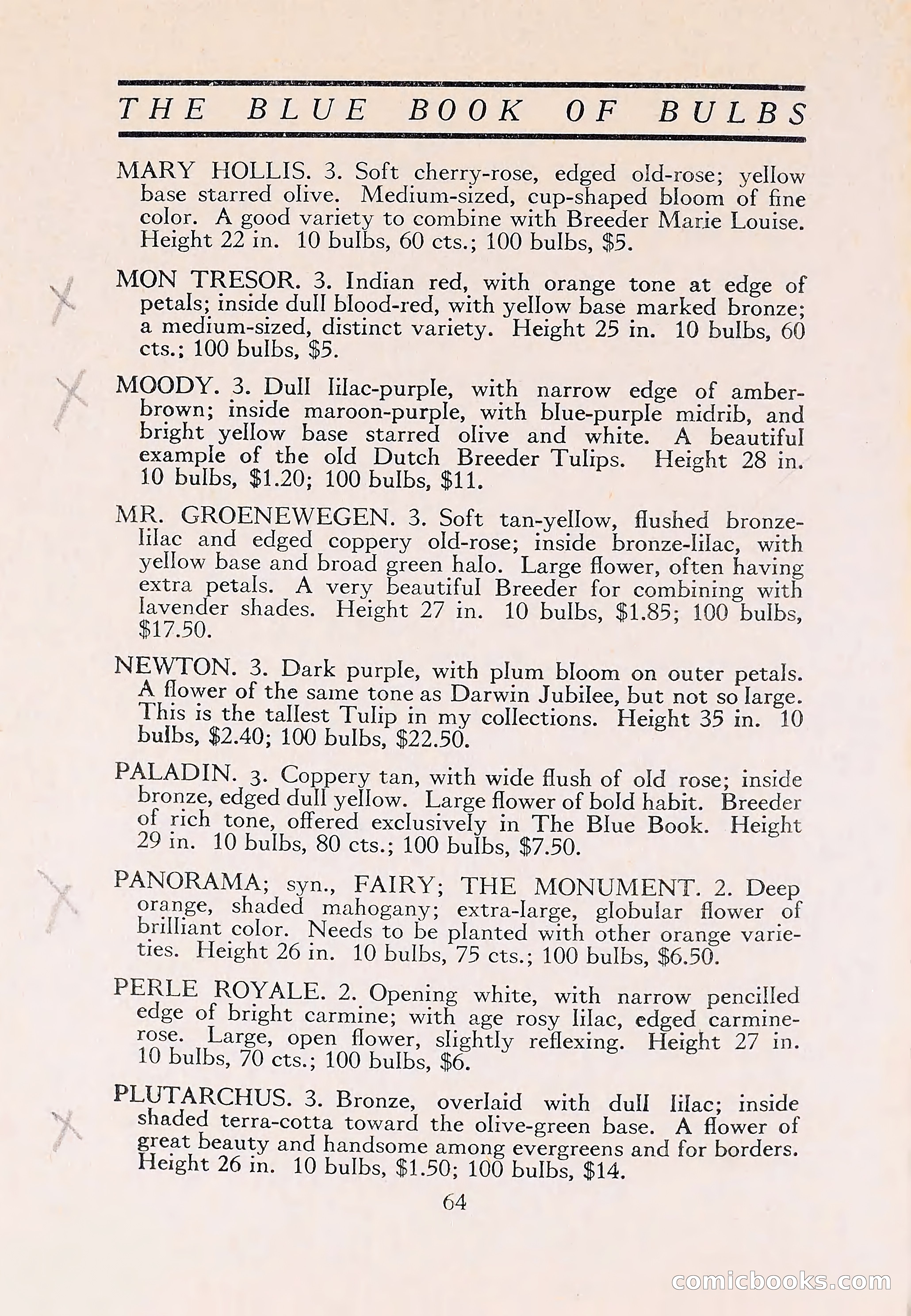 The Blue Book of Bulbs — page 68 of 110