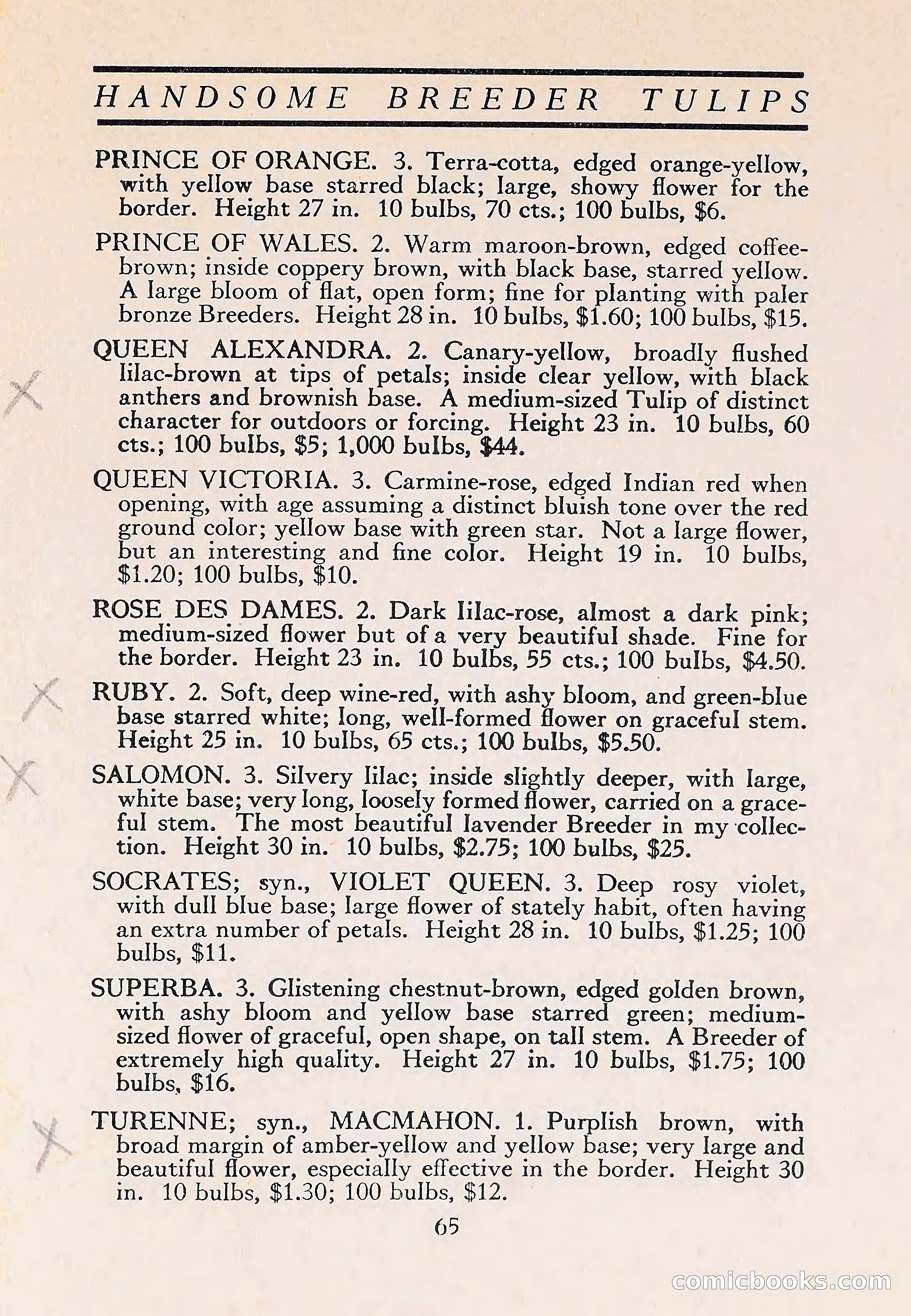 The Blue Book of Bulbs — page 69 of 110