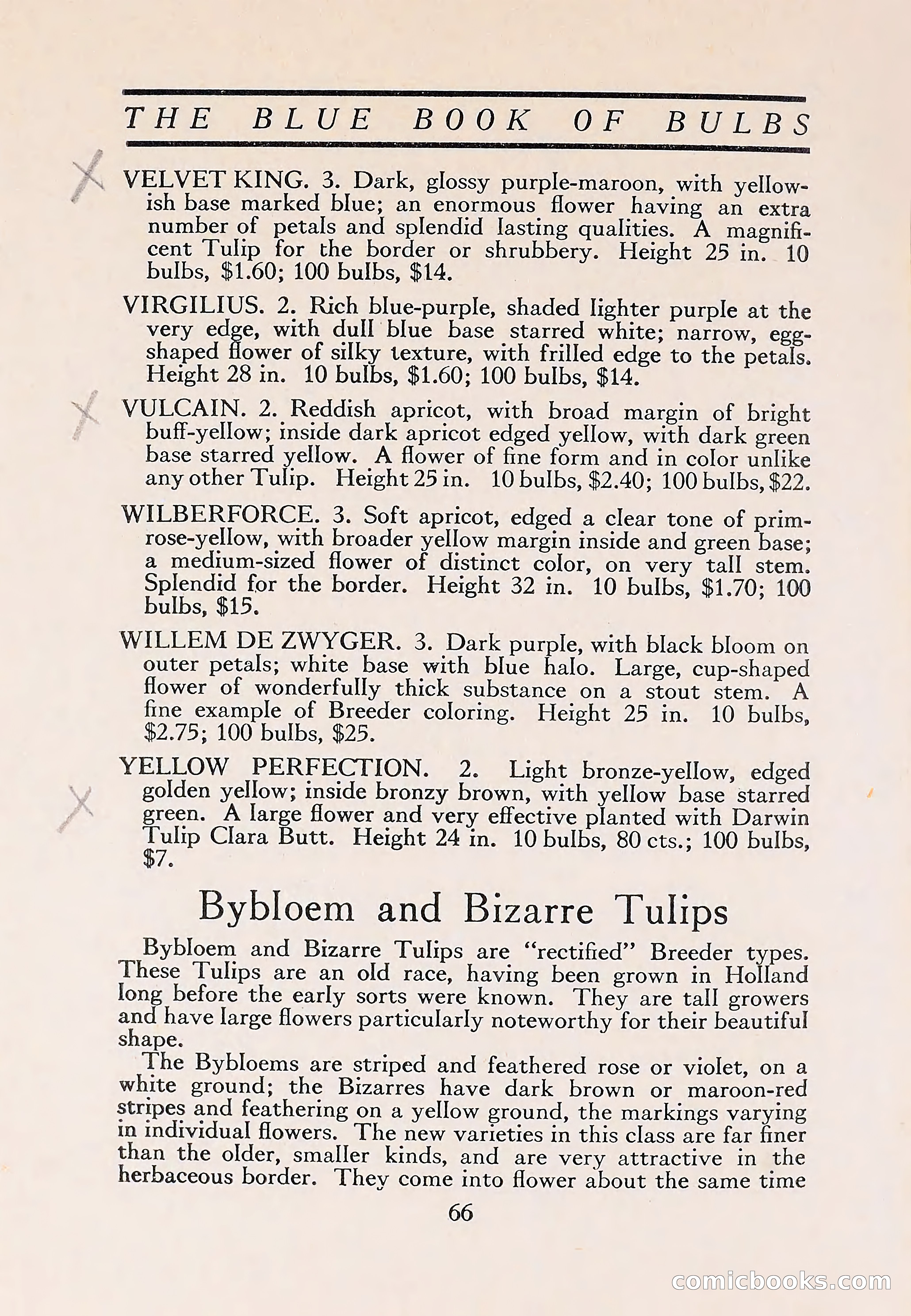 The Blue Book of Bulbs — page 70 of 110