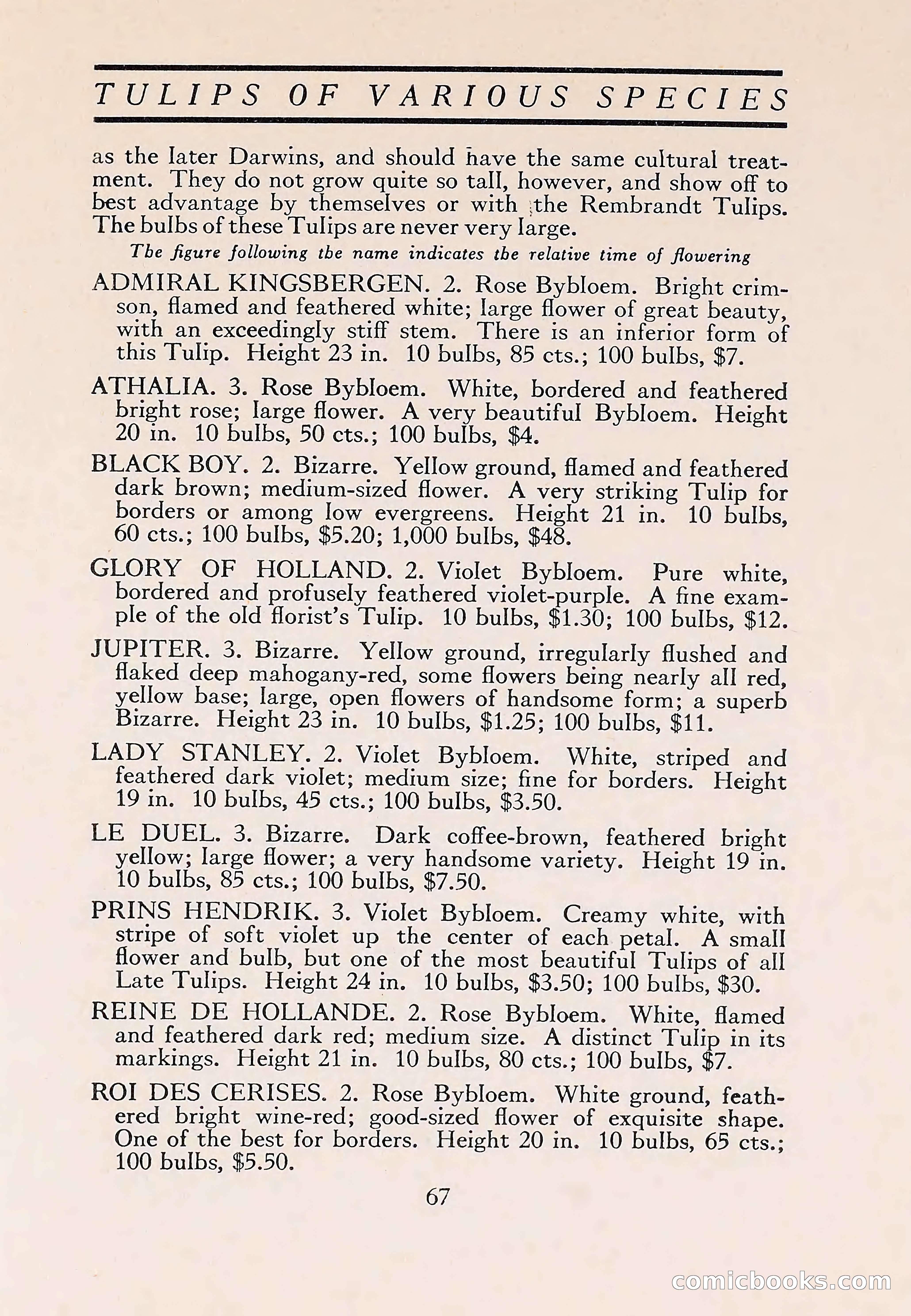 The Blue Book of Bulbs — page 71 of 110