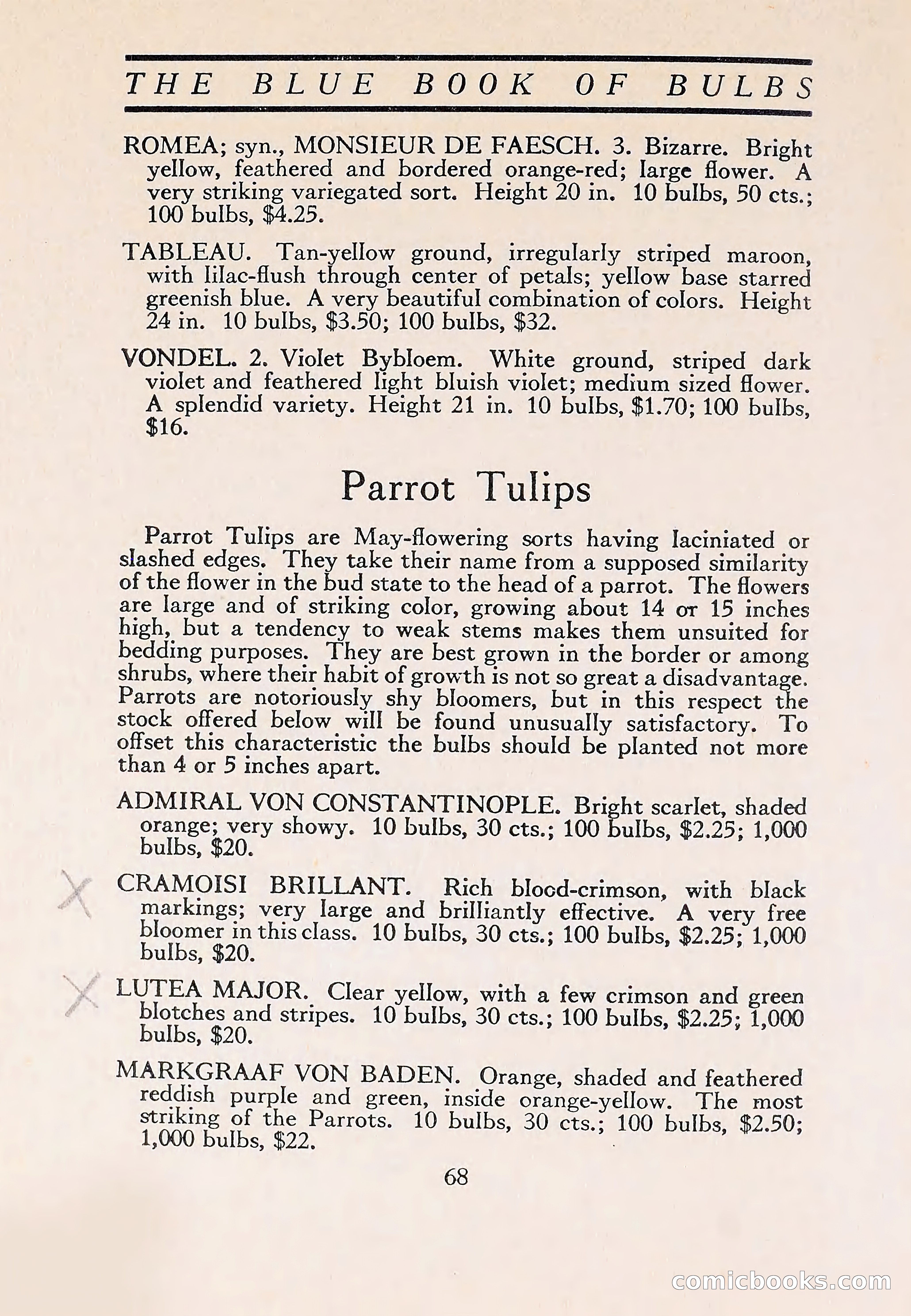 The Blue Book of Bulbs — page 72 of 110