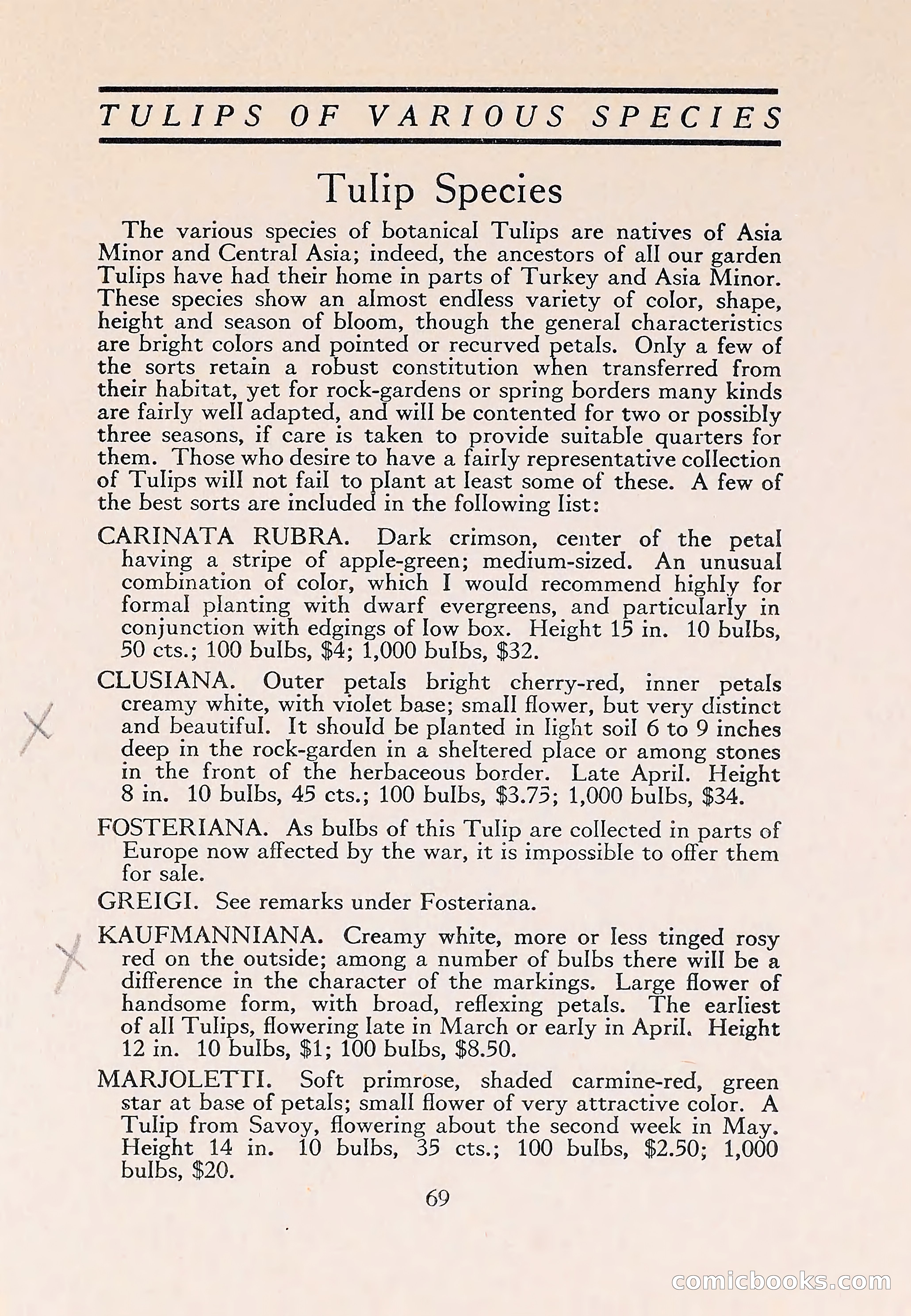The Blue Book of Bulbs — page 73 of 110