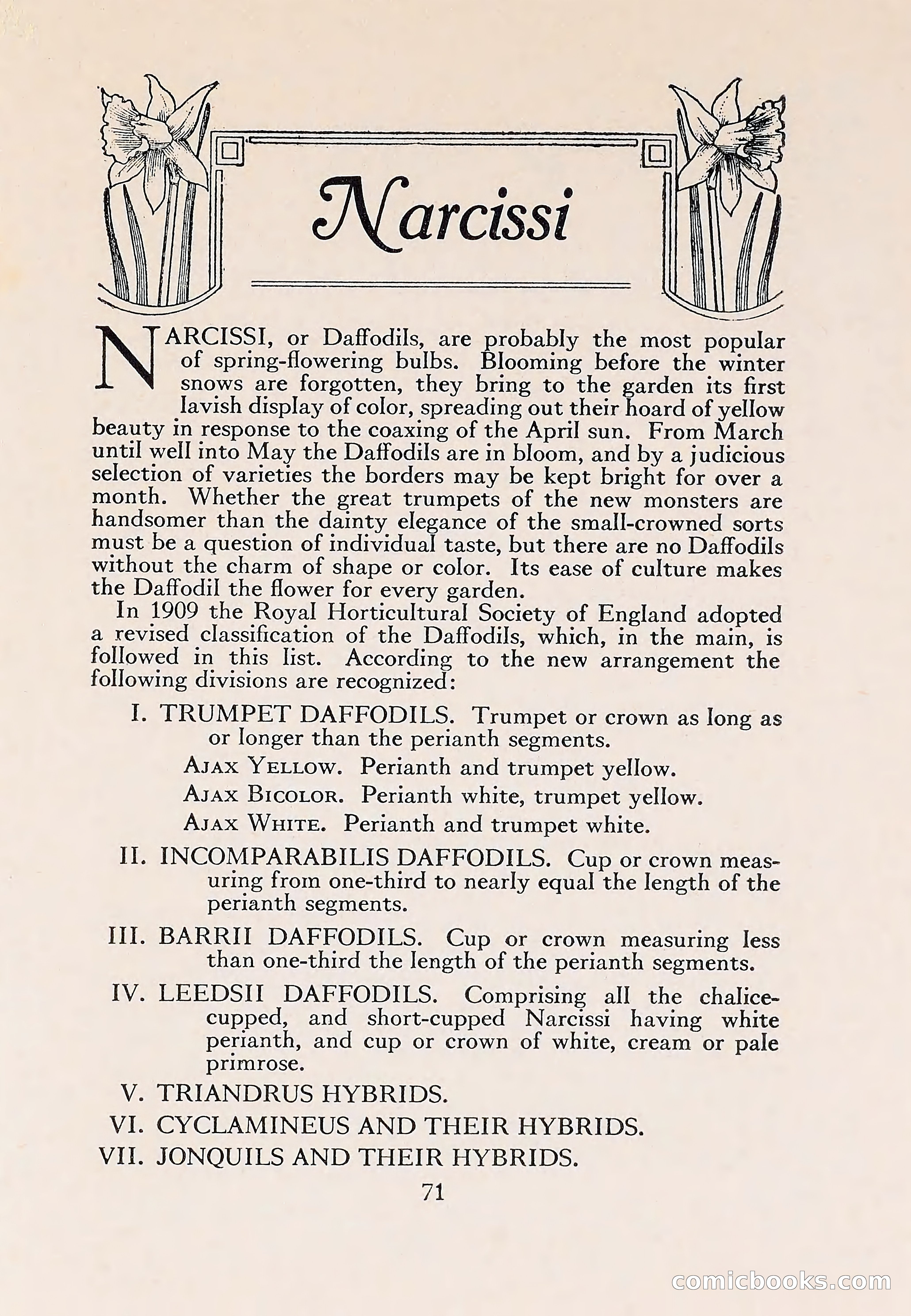 The Blue Book of Bulbs — page 75 of 110