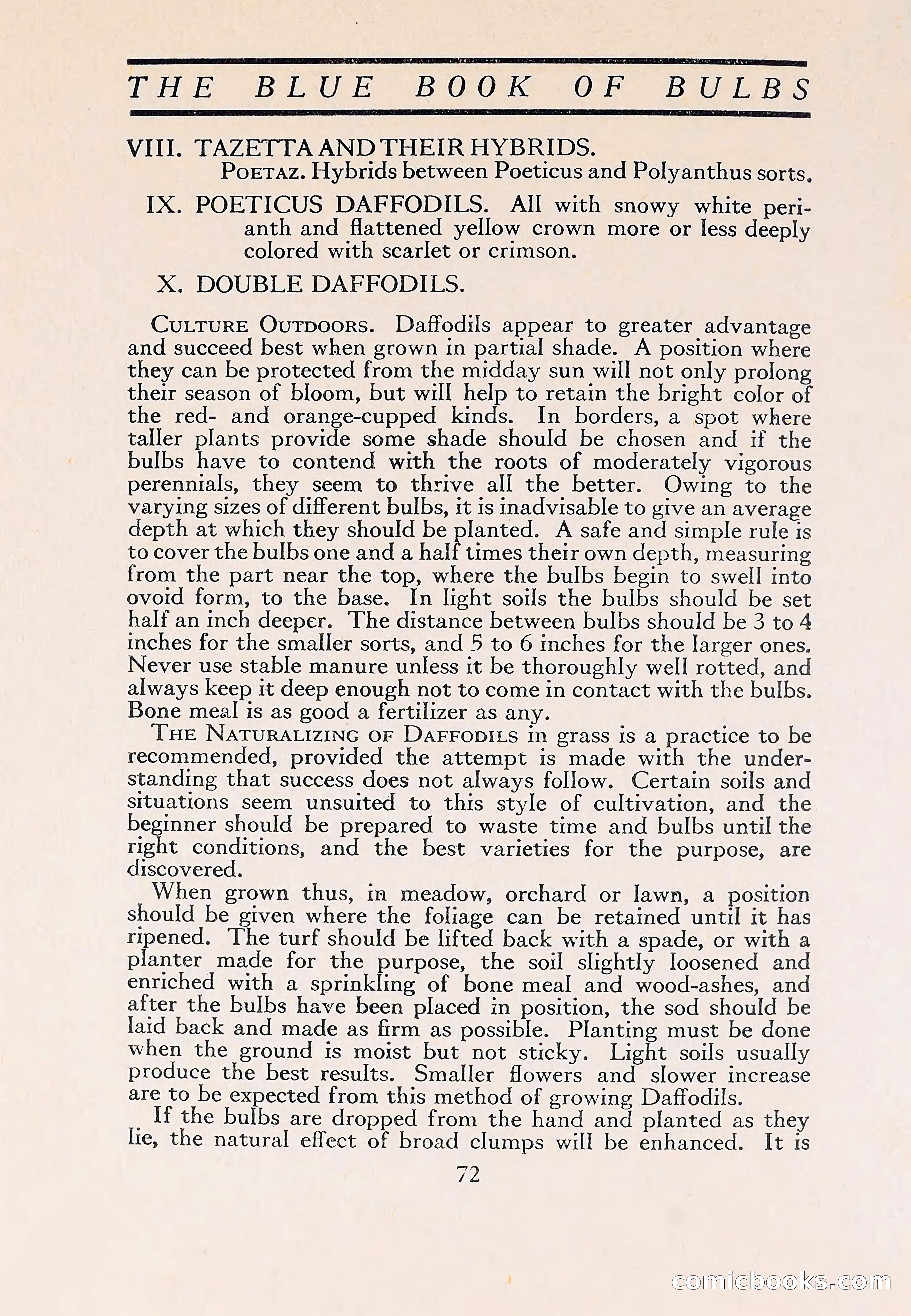 The Blue Book of Bulbs — page 76 of 110