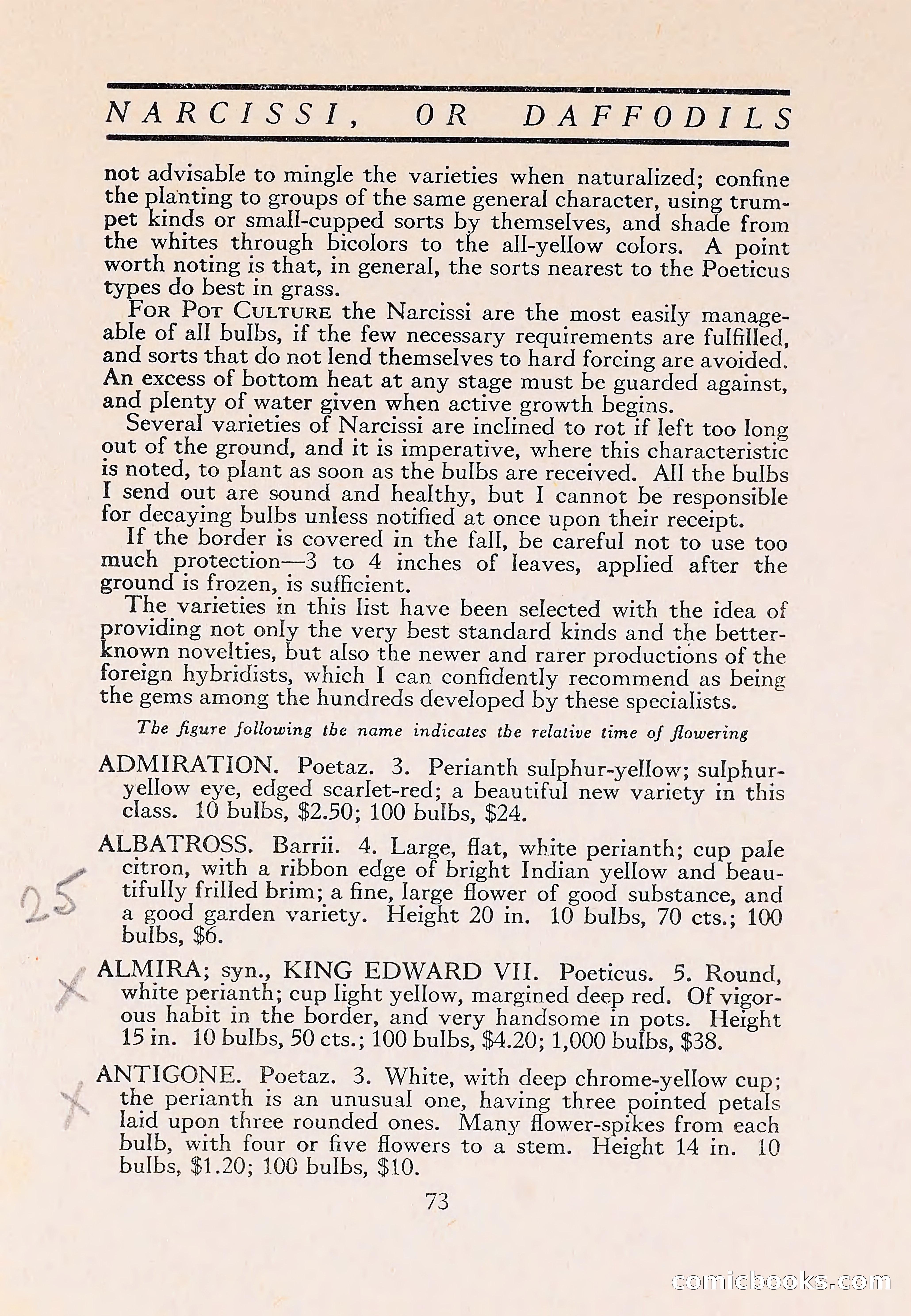The Blue Book of Bulbs — page 77 of 110
