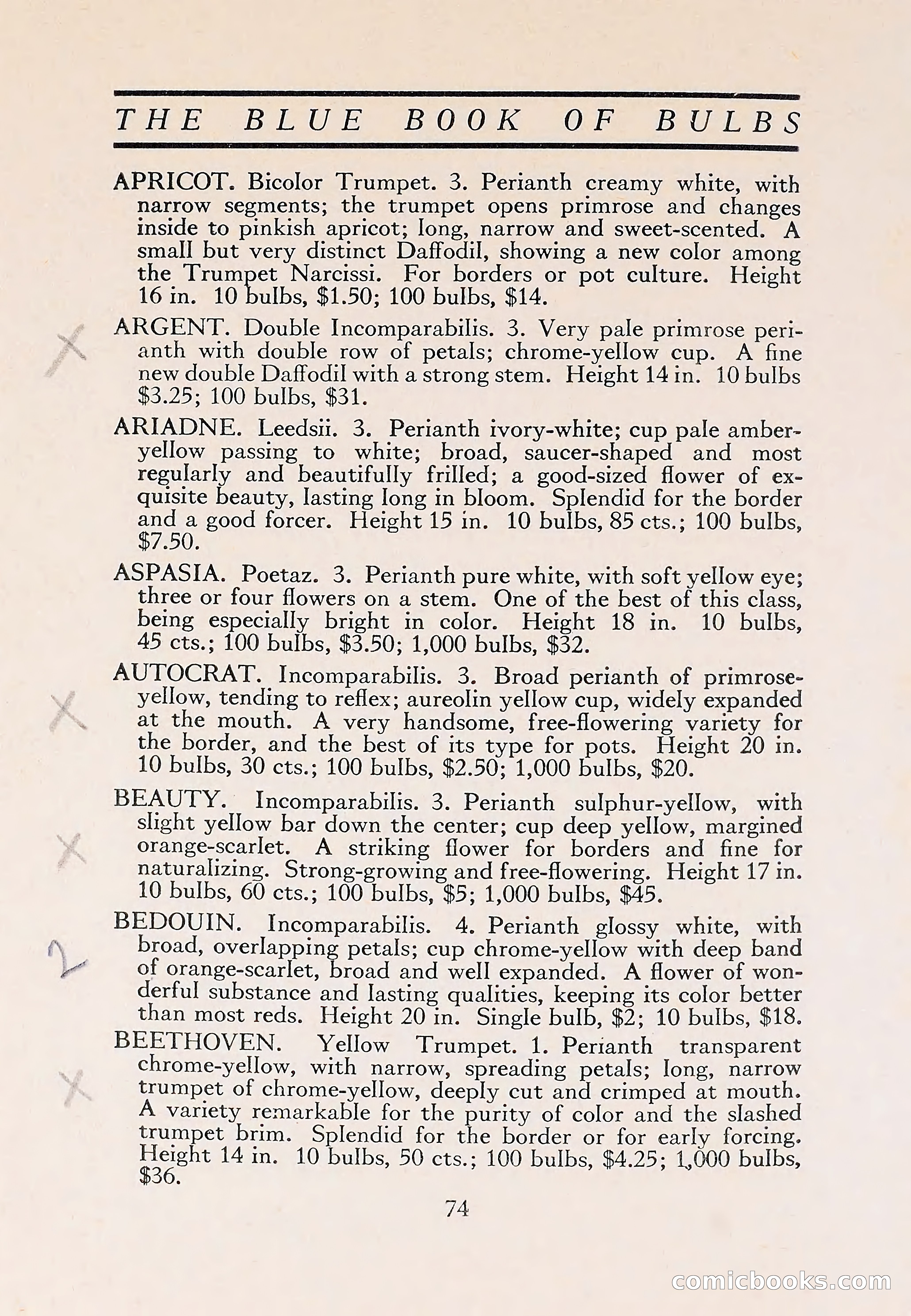 The Blue Book of Bulbs — page 78 of 110