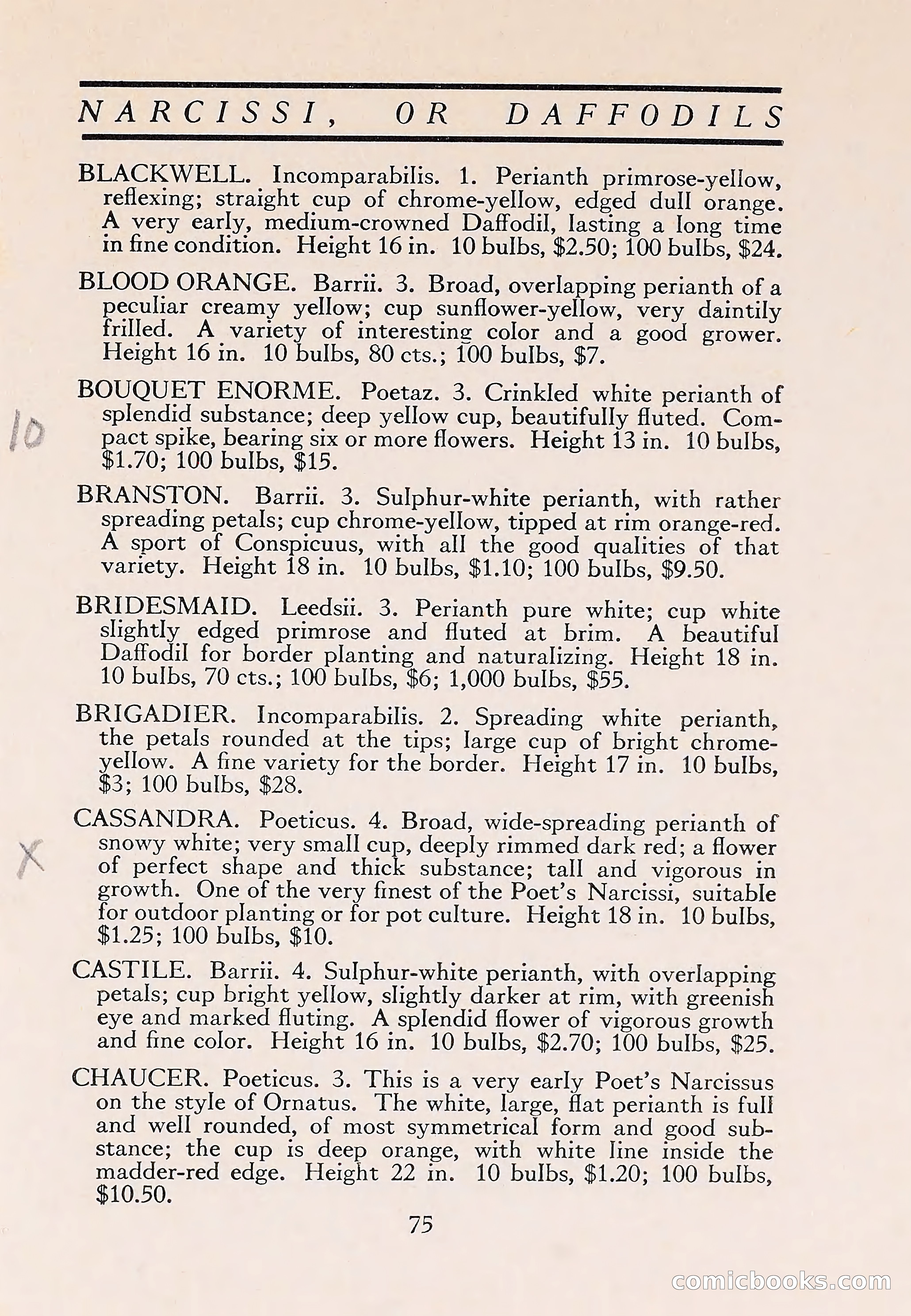 The Blue Book of Bulbs — page 79 of 110