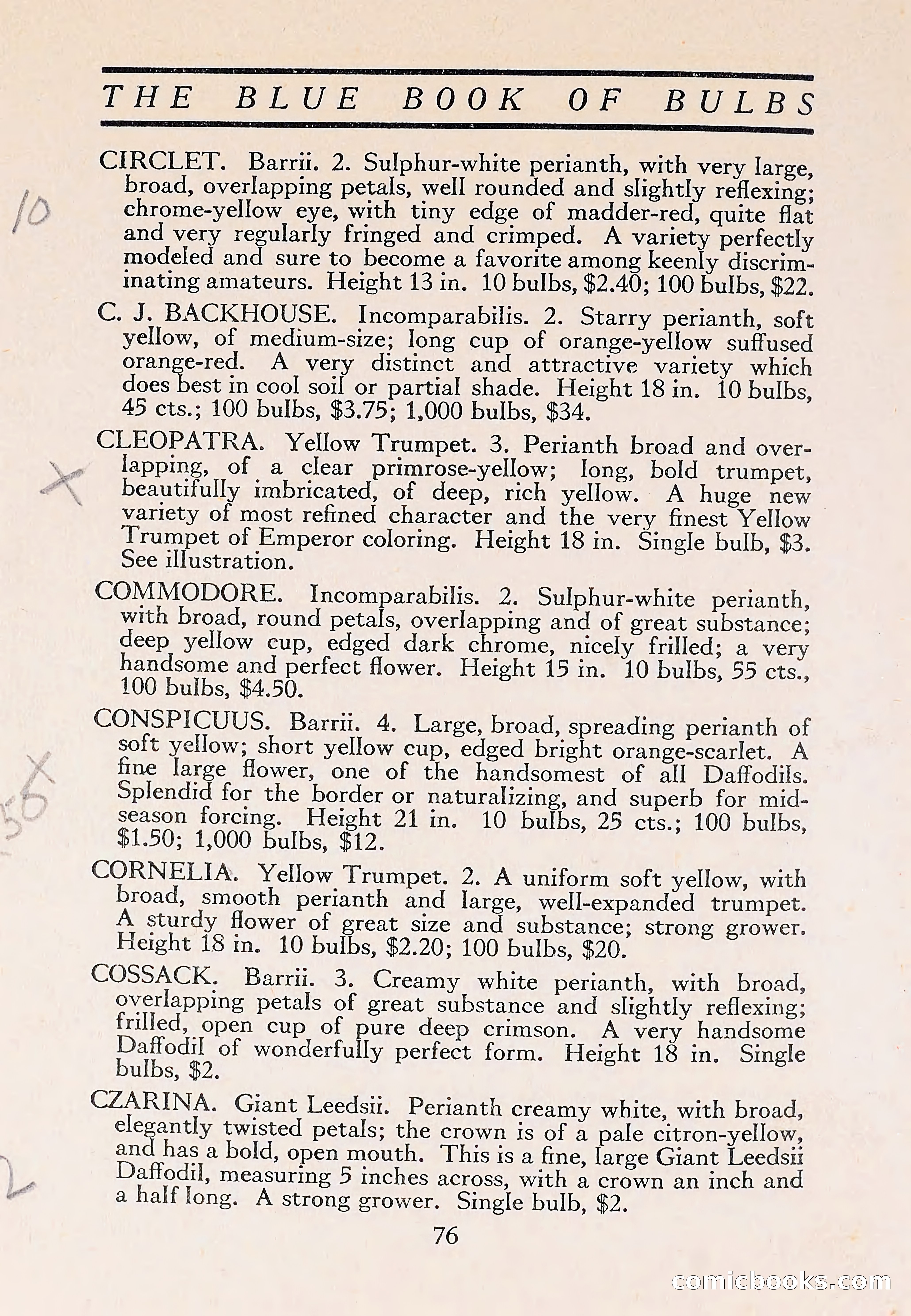 The Blue Book of Bulbs — page 80 of 110