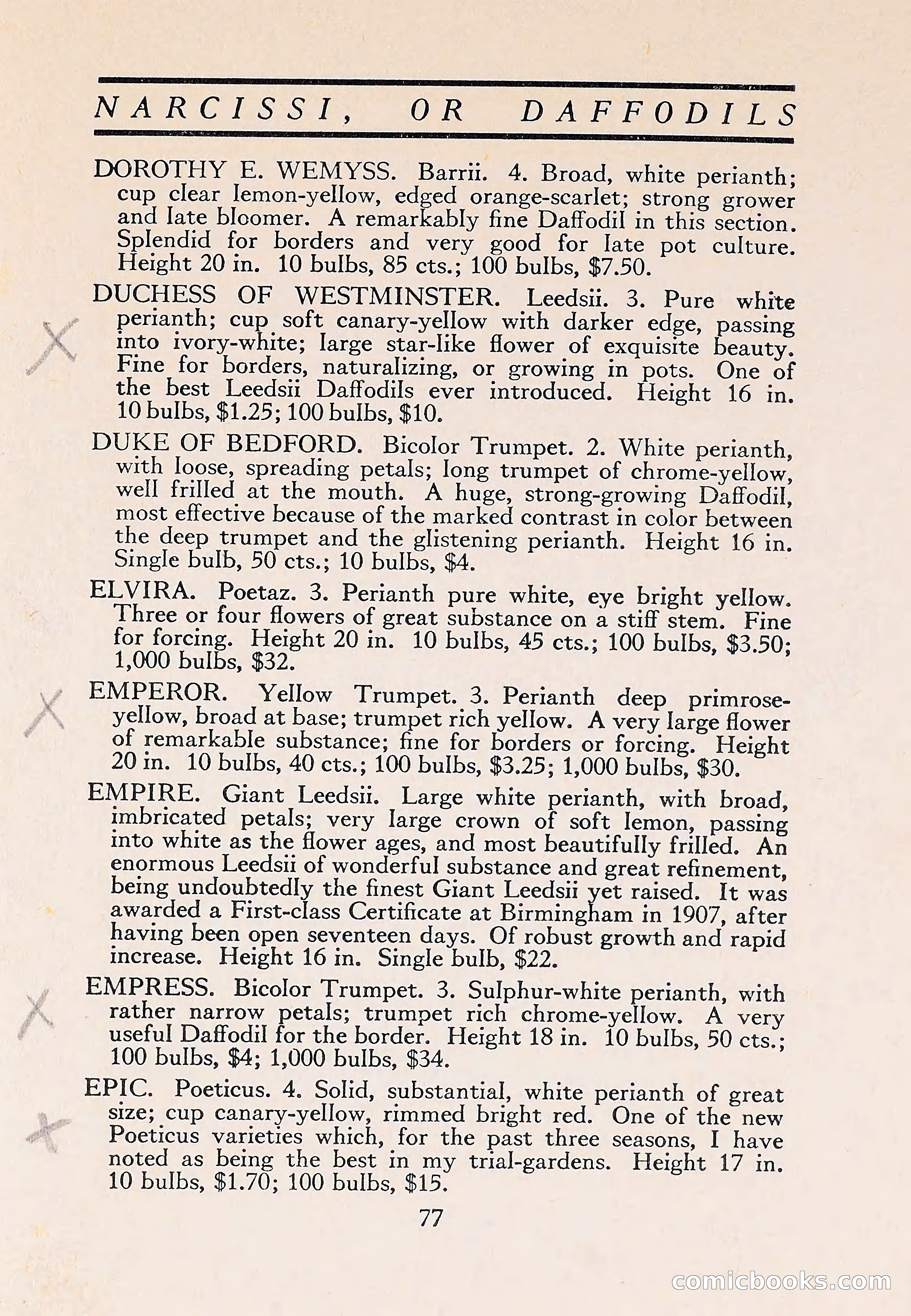The Blue Book of Bulbs — page 81 of 110