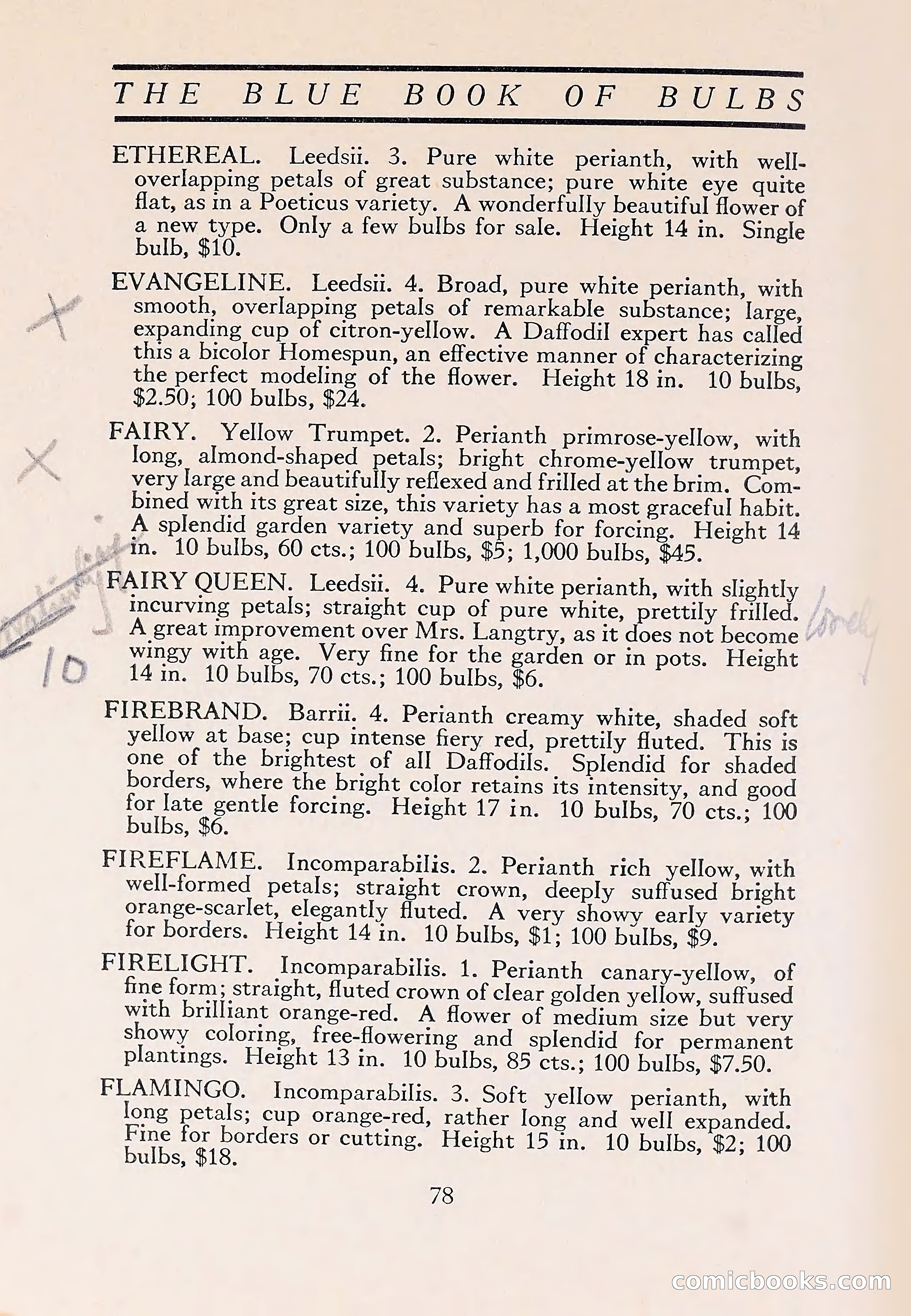The Blue Book of Bulbs — page 82 of 110