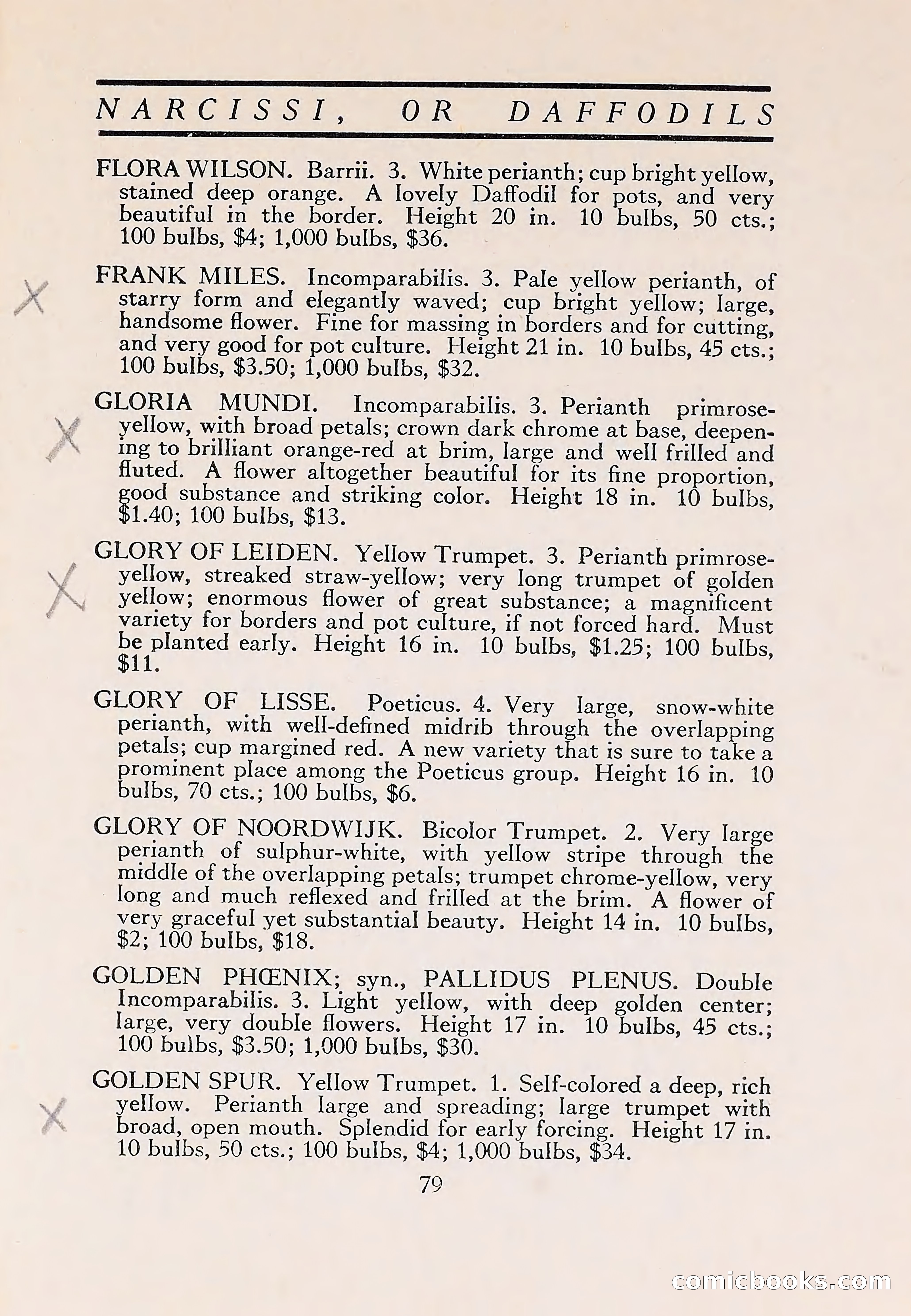 The Blue Book of Bulbs — page 83 of 110