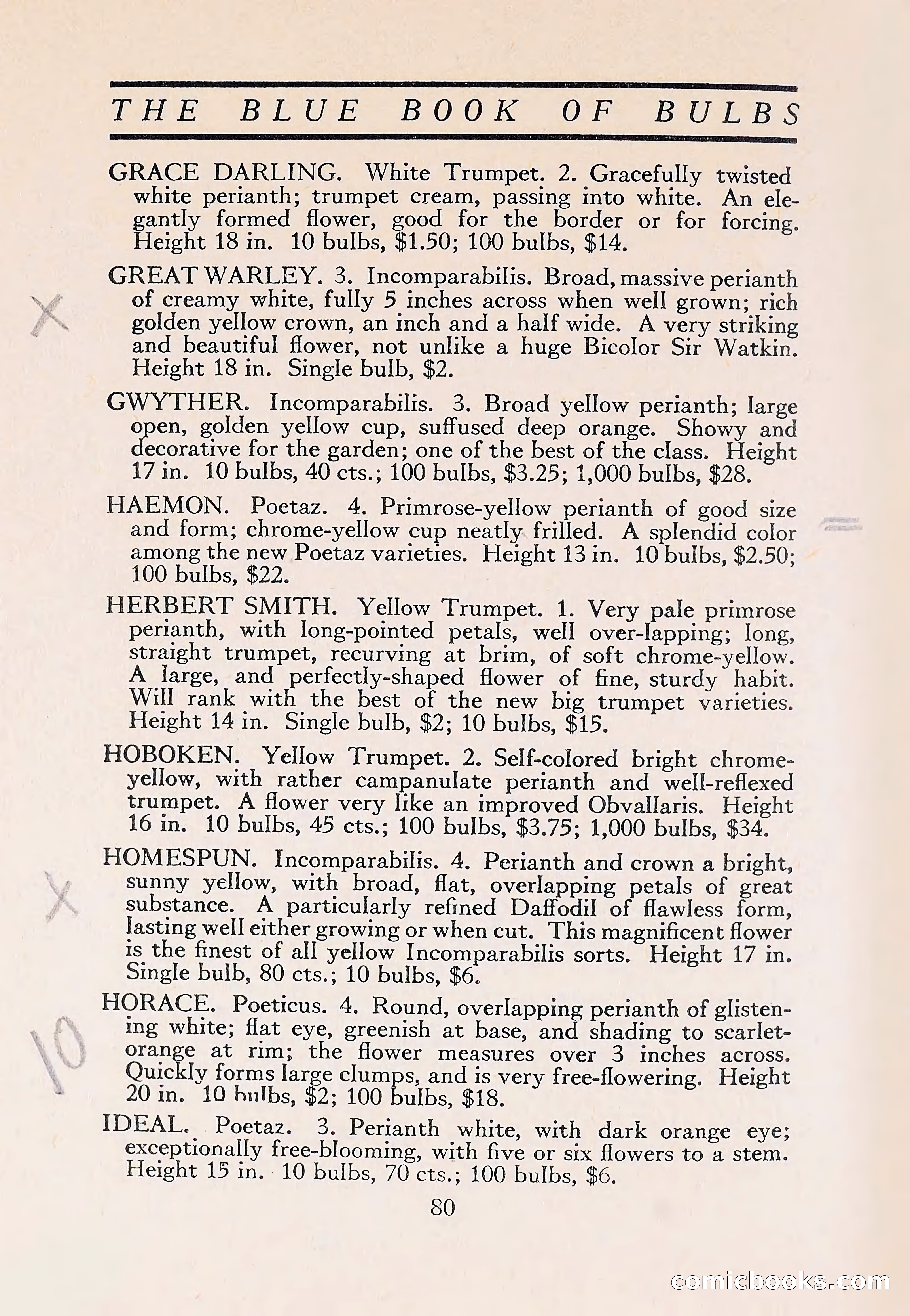 The Blue Book of Bulbs — page 84 of 110