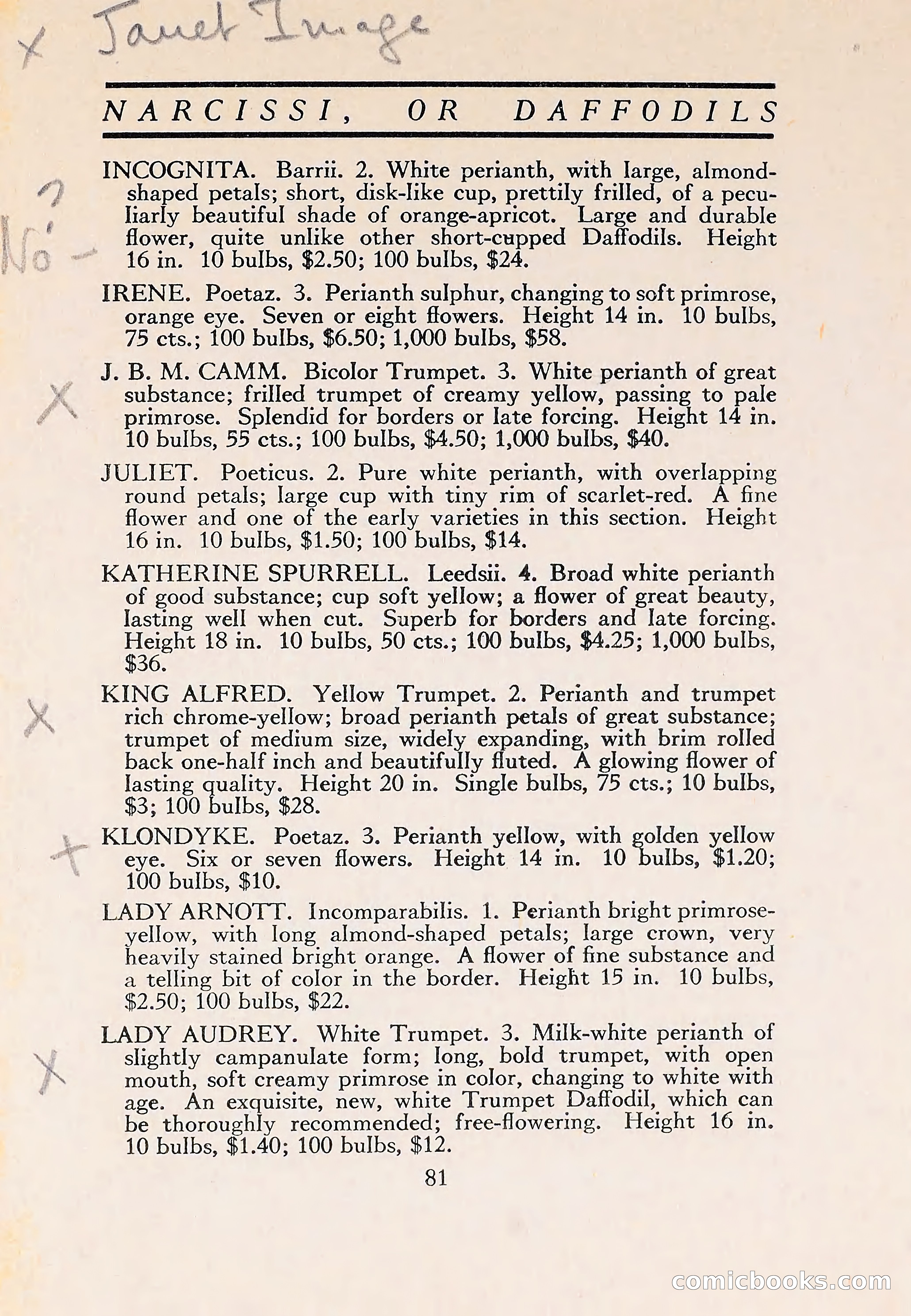 The Blue Book of Bulbs — page 85 of 110