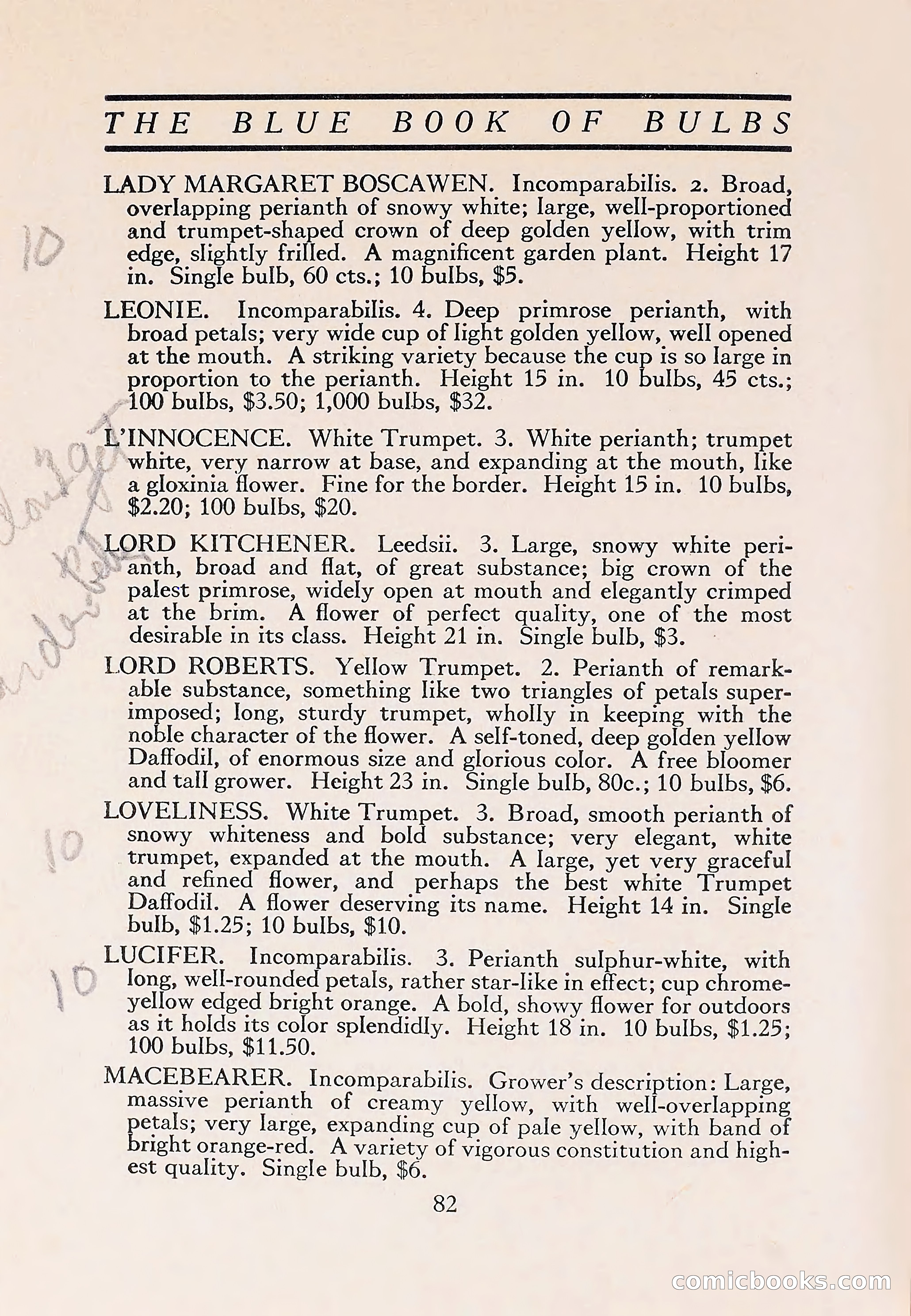 The Blue Book of Bulbs — page 86 of 110