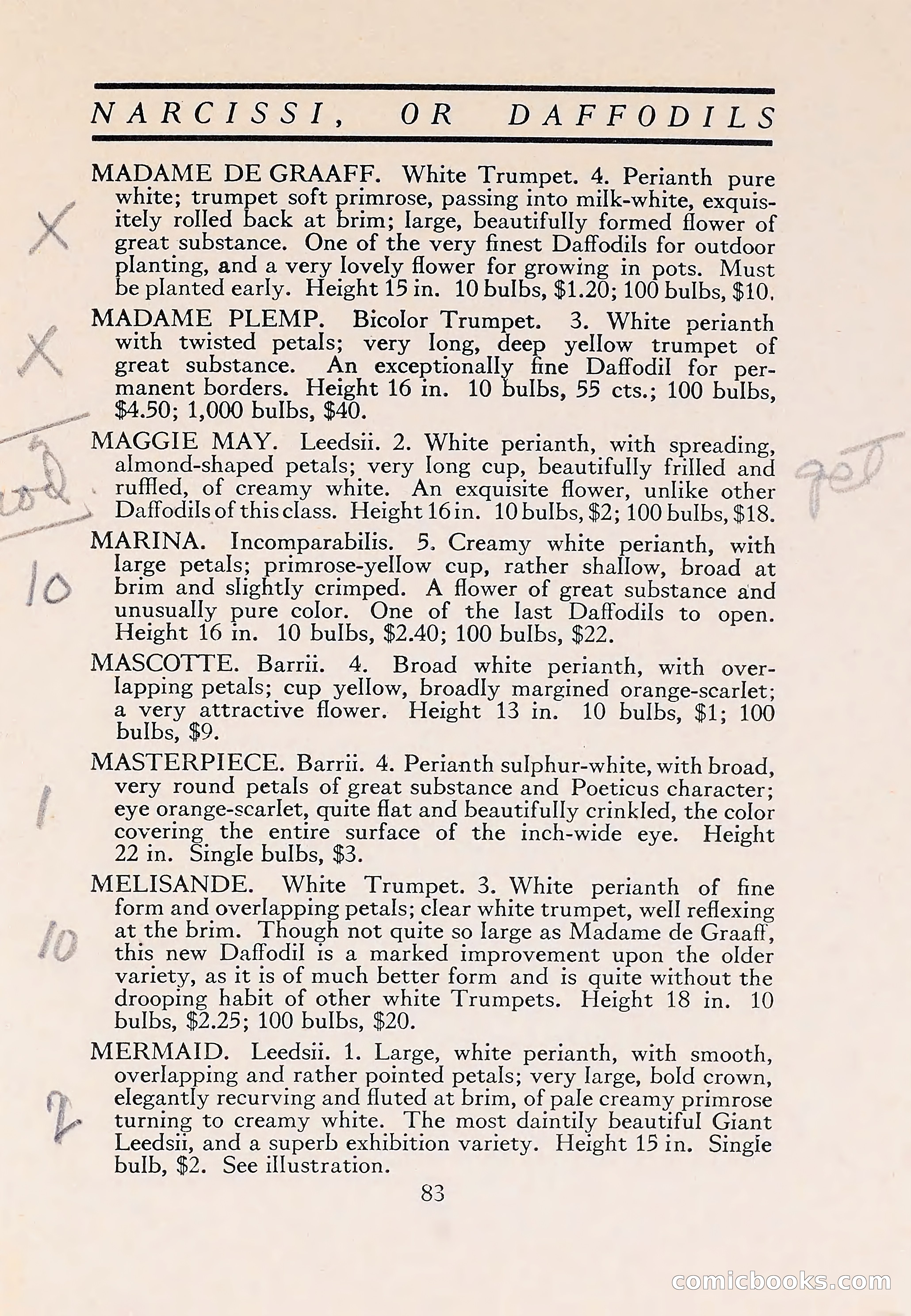 The Blue Book of Bulbs — page 87 of 110