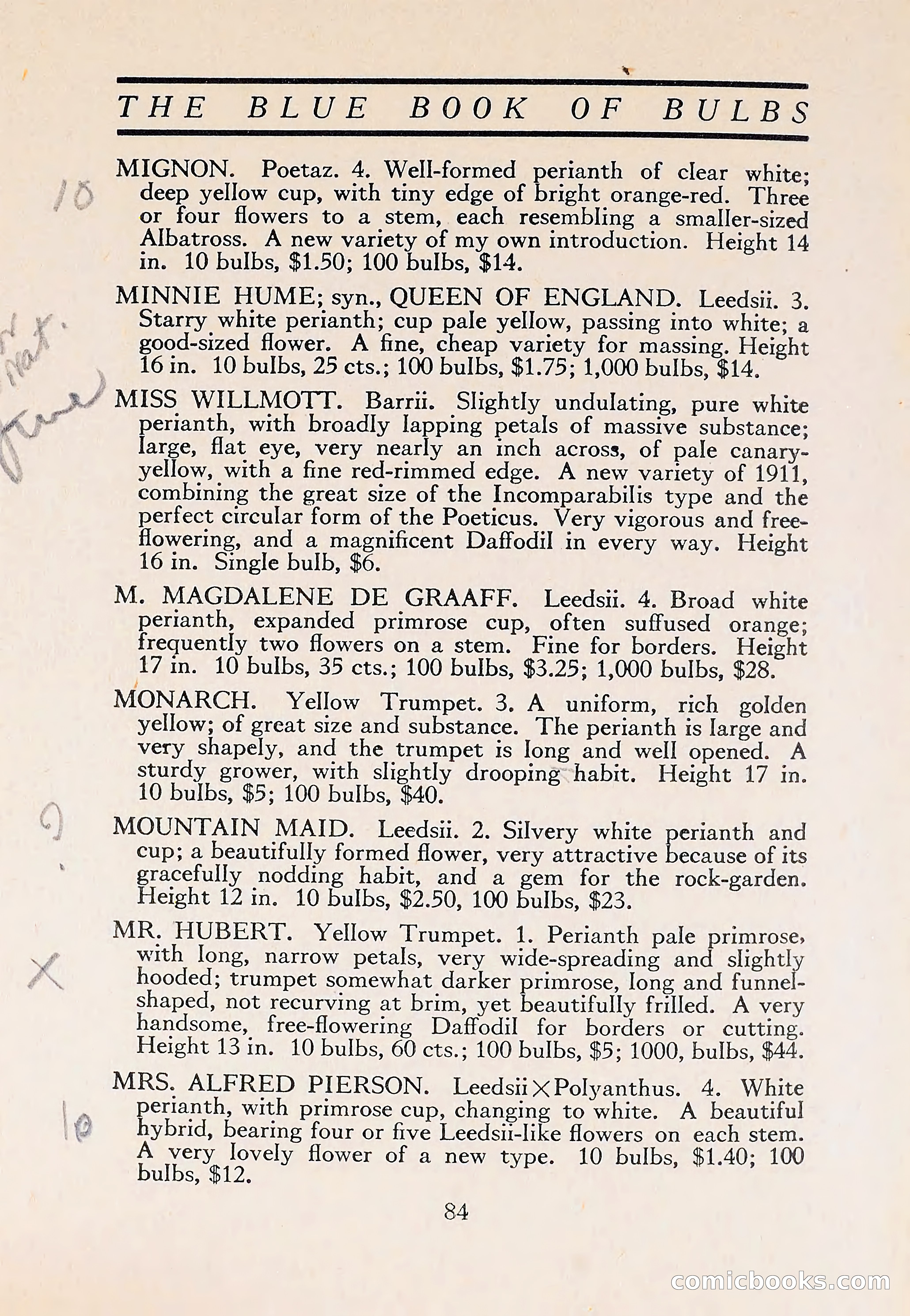 The Blue Book of Bulbs — page 88 of 110