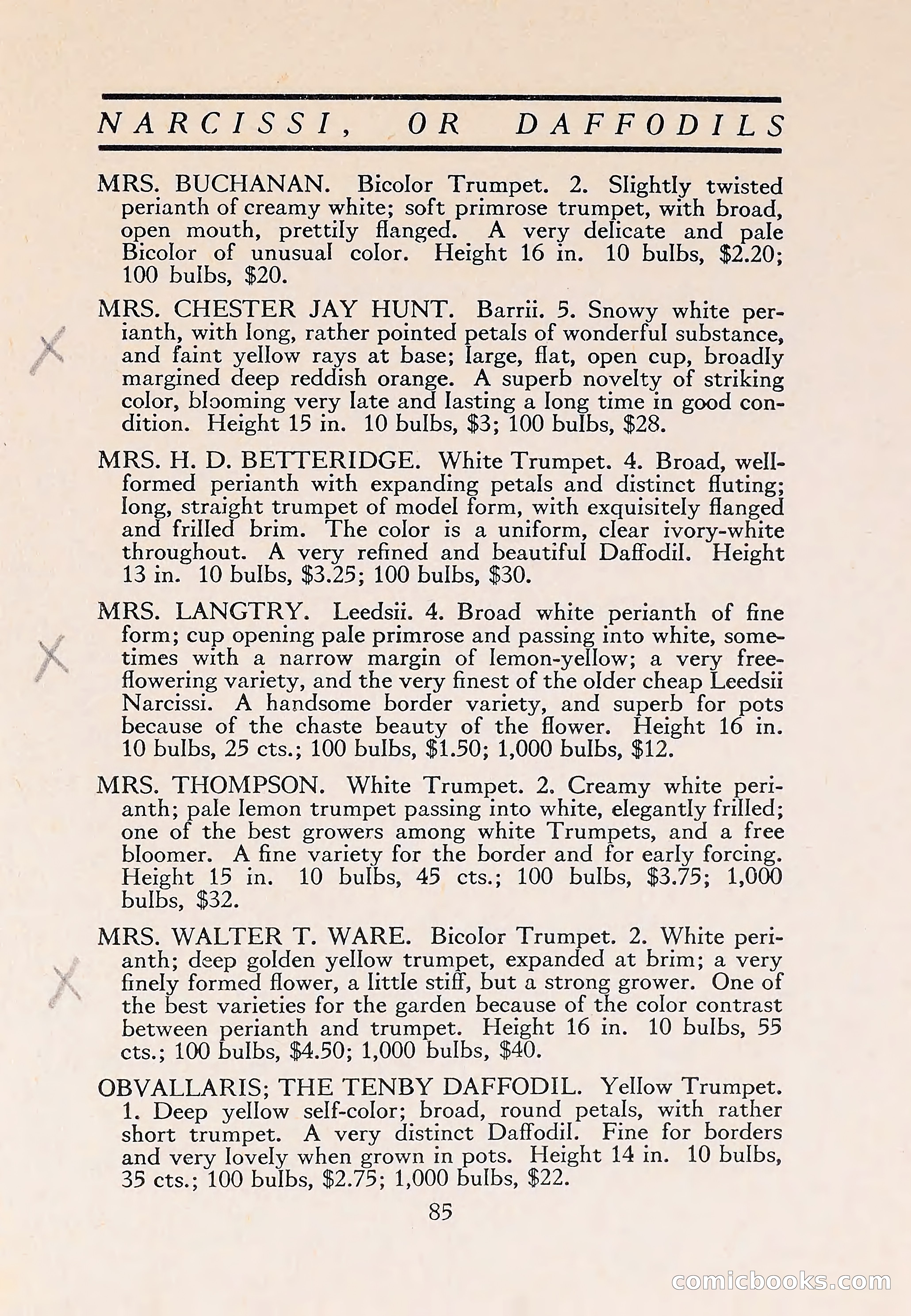 The Blue Book of Bulbs — page 89 of 110