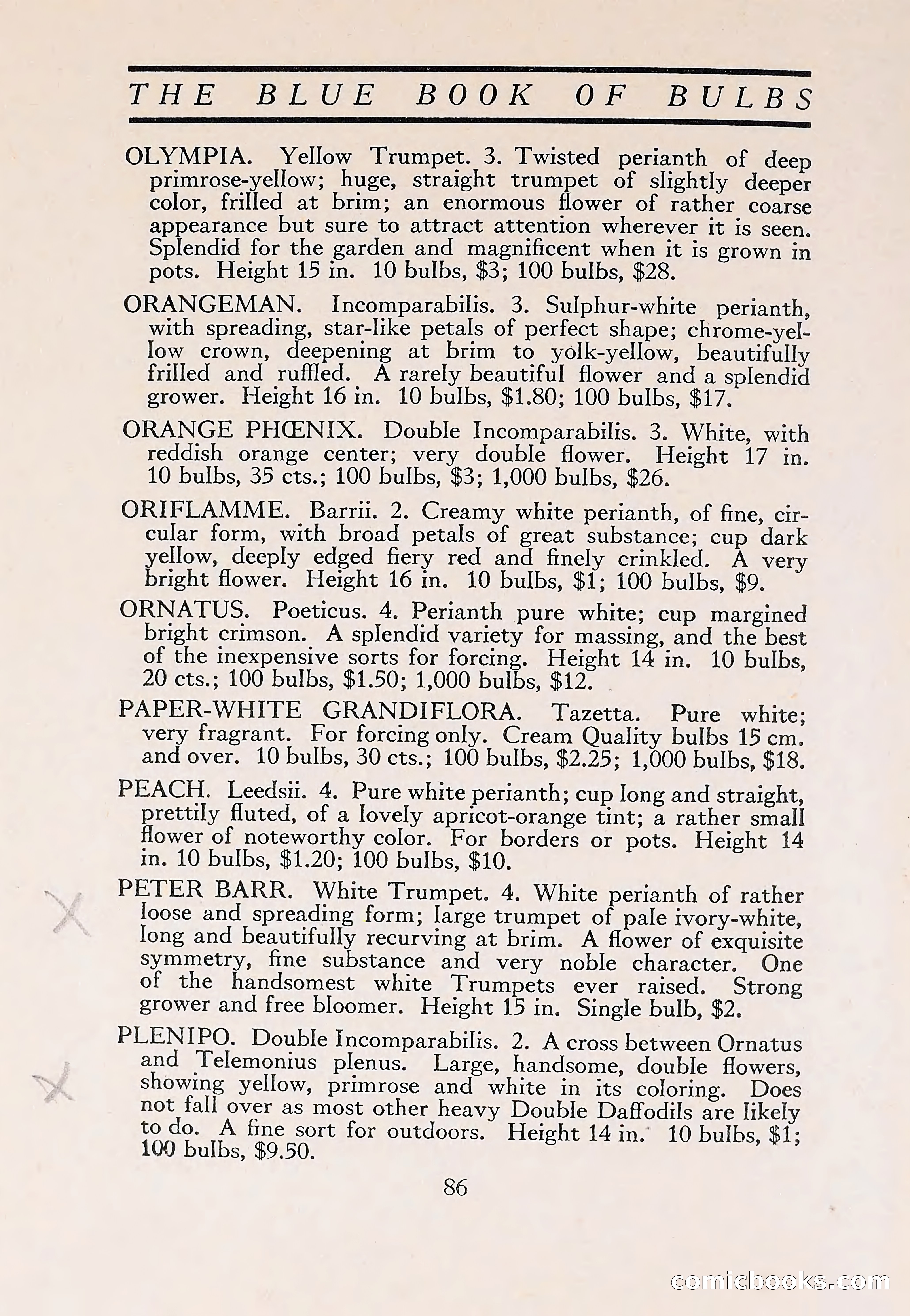 The Blue Book of Bulbs — page 90 of 110