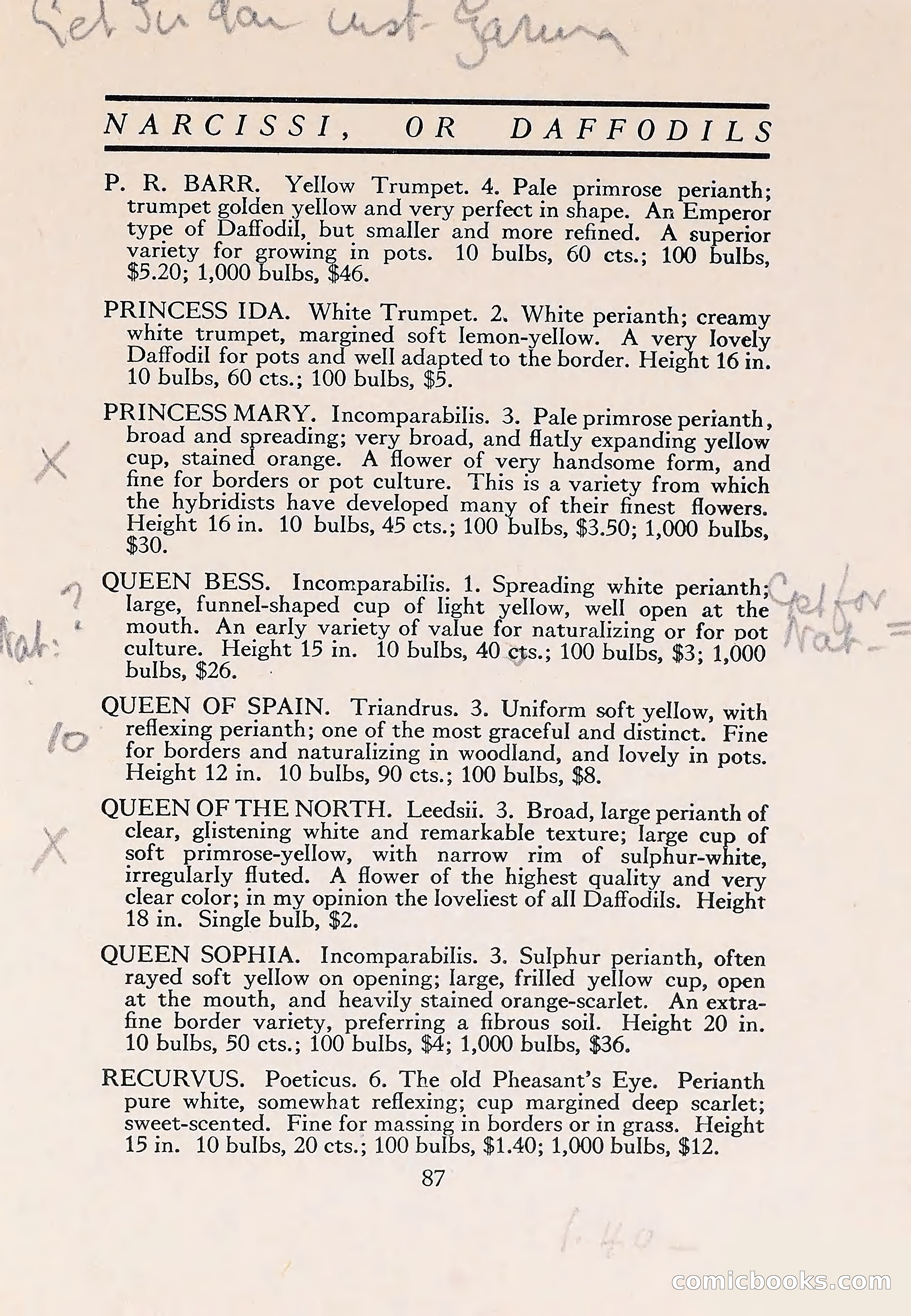 The Blue Book of Bulbs — page 91 of 110
