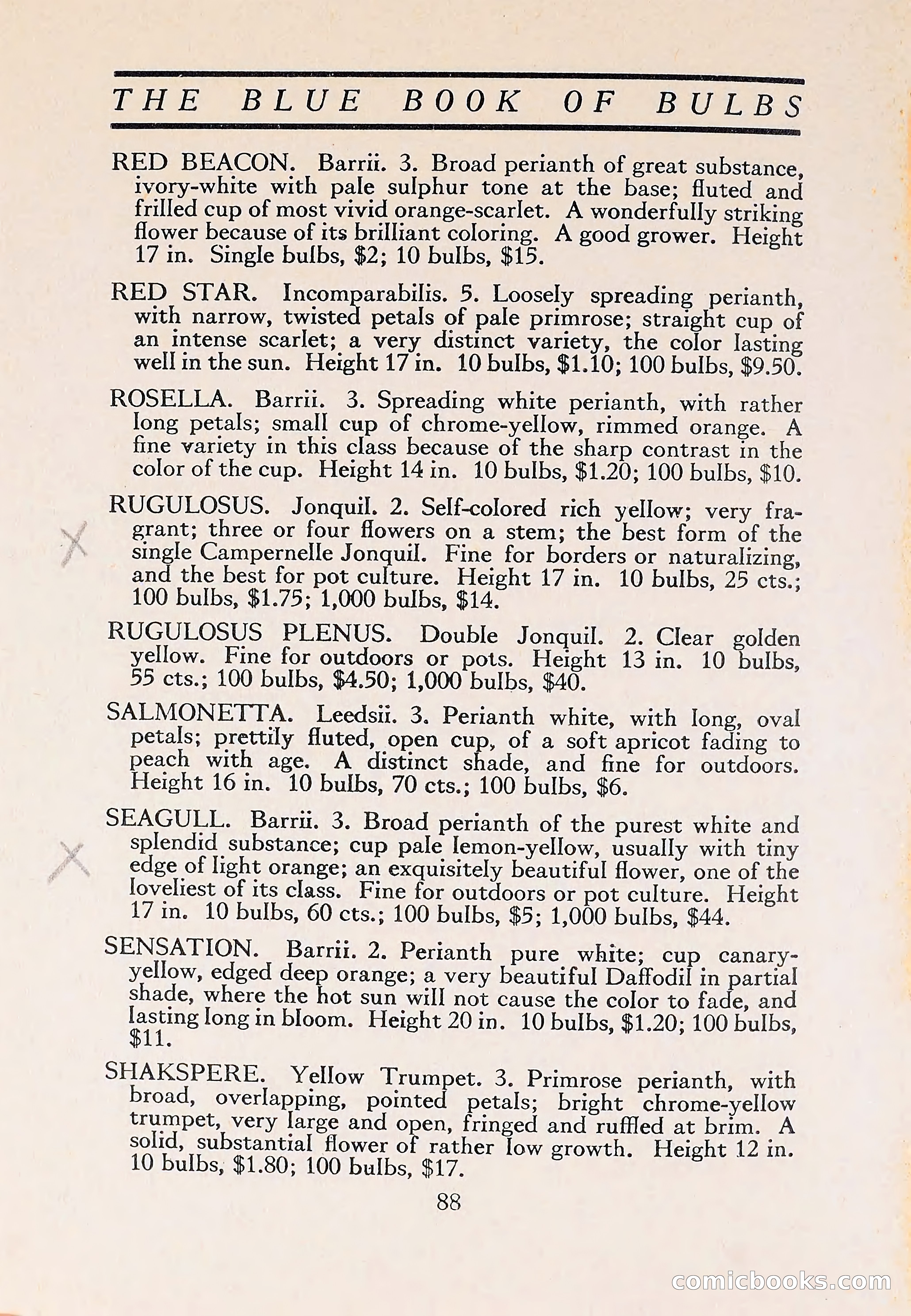 The Blue Book of Bulbs — page 92 of 110