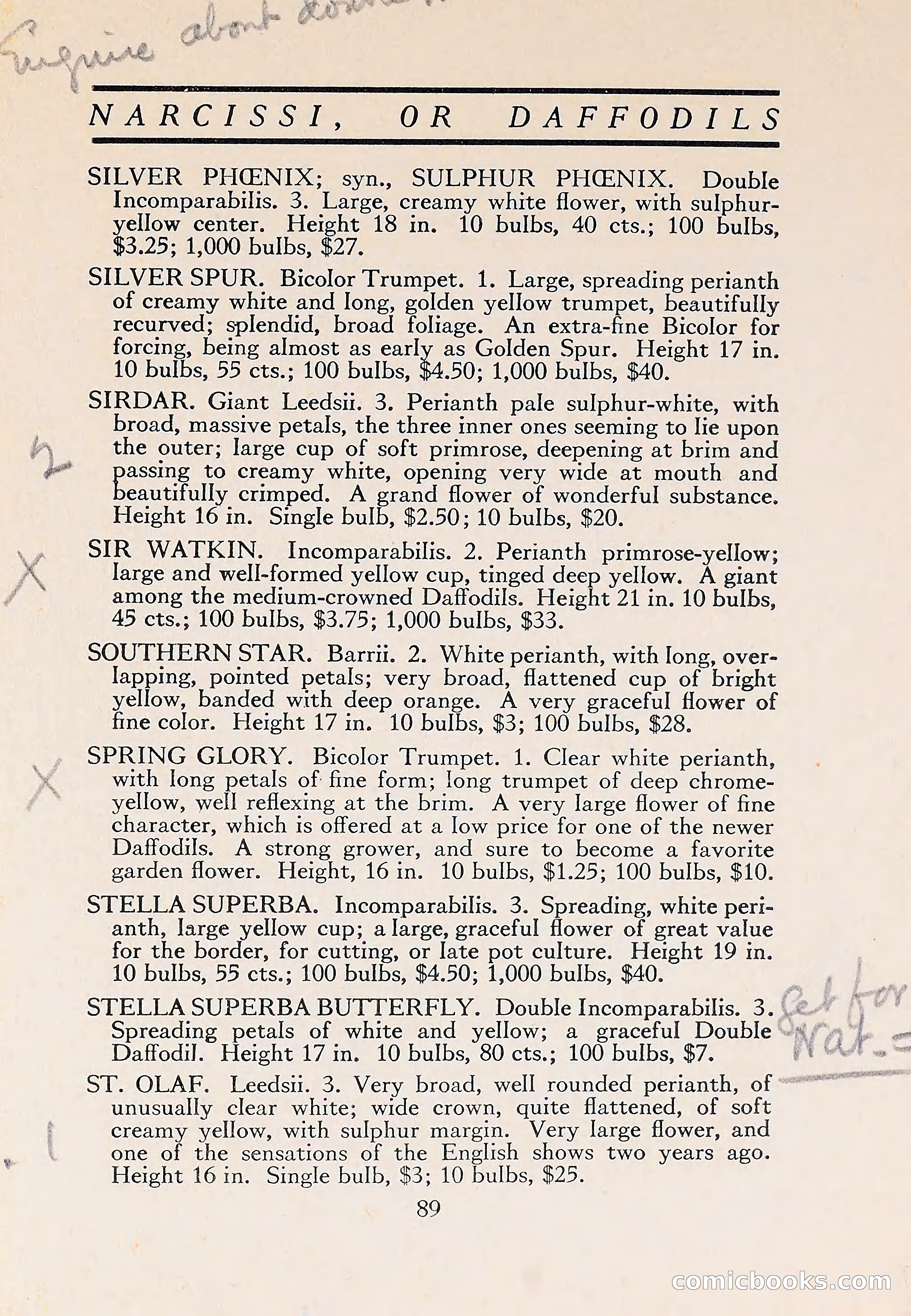 The Blue Book of Bulbs — page 93 of 110
