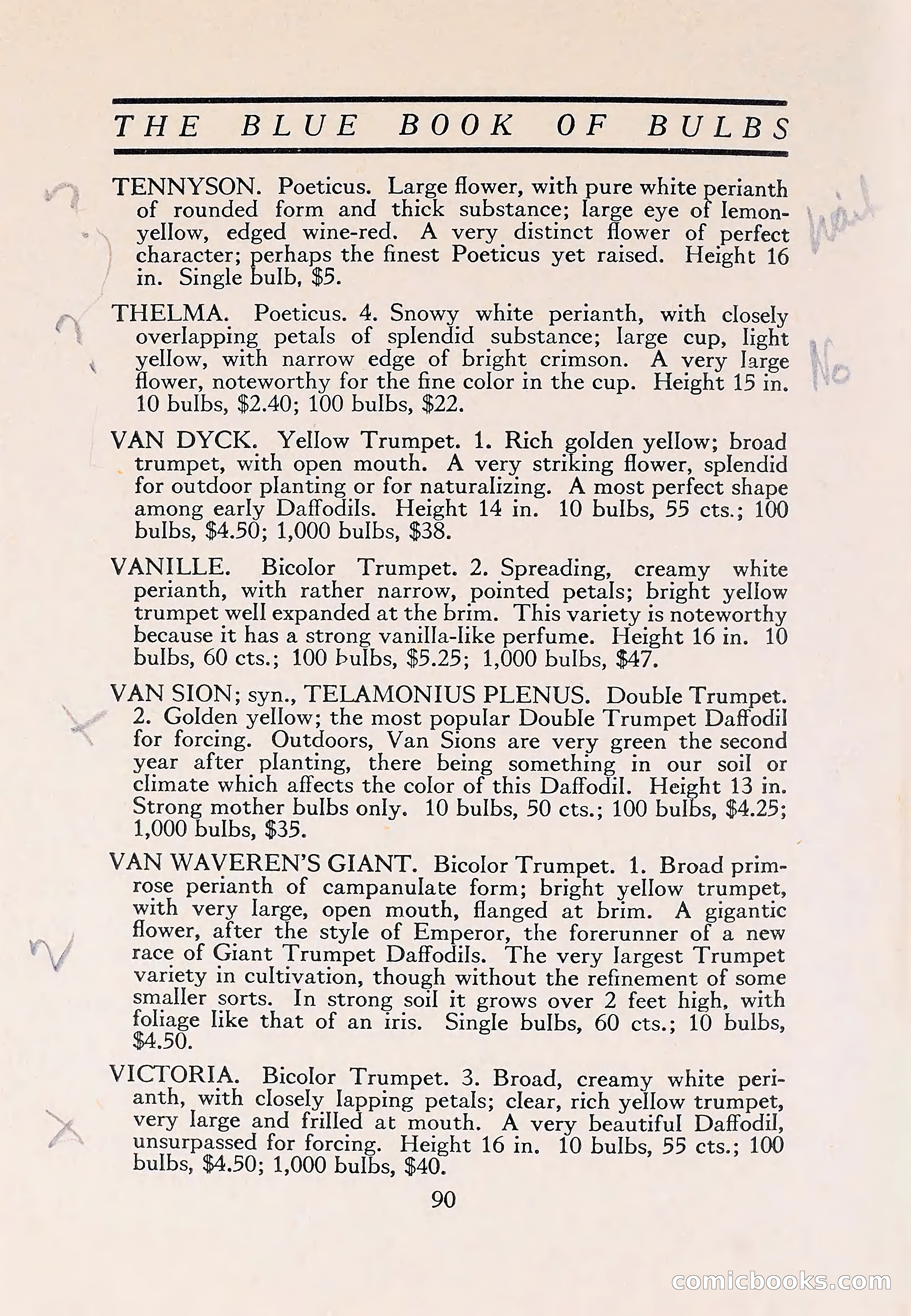 The Blue Book of Bulbs — page 94 of 110