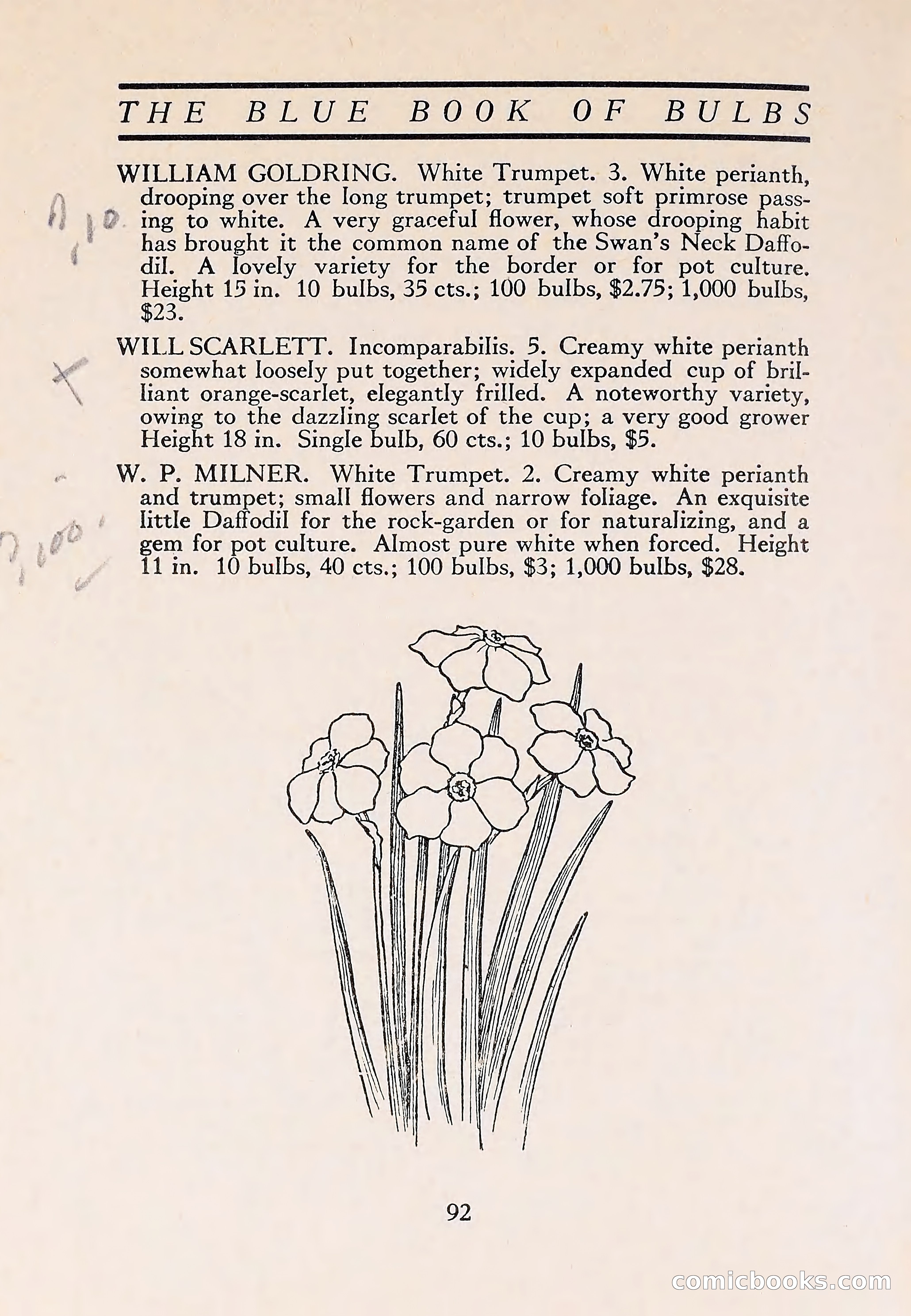 The Blue Book of Bulbs — page 96 of 110