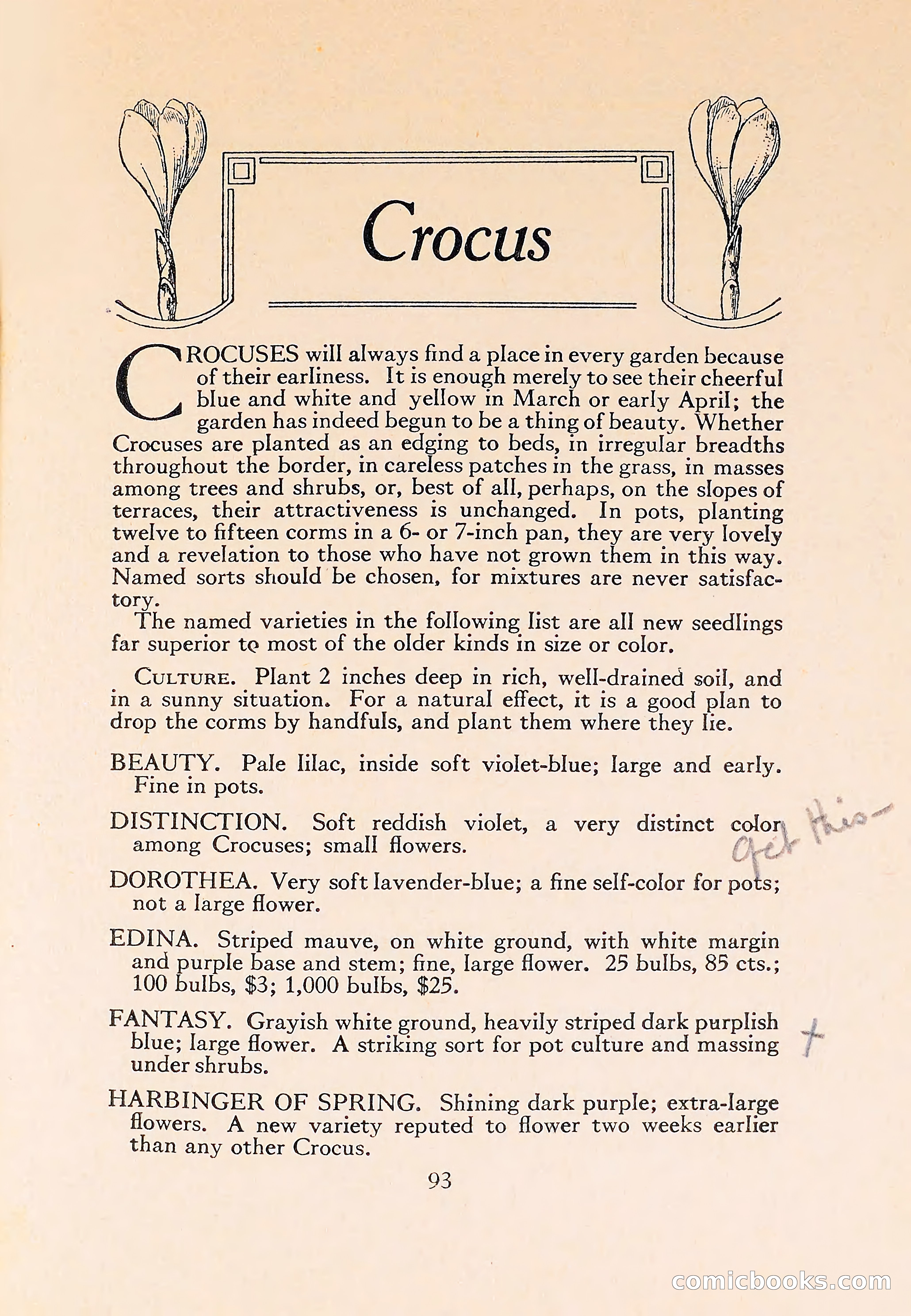 The Blue Book of Bulbs — page 97 of 110