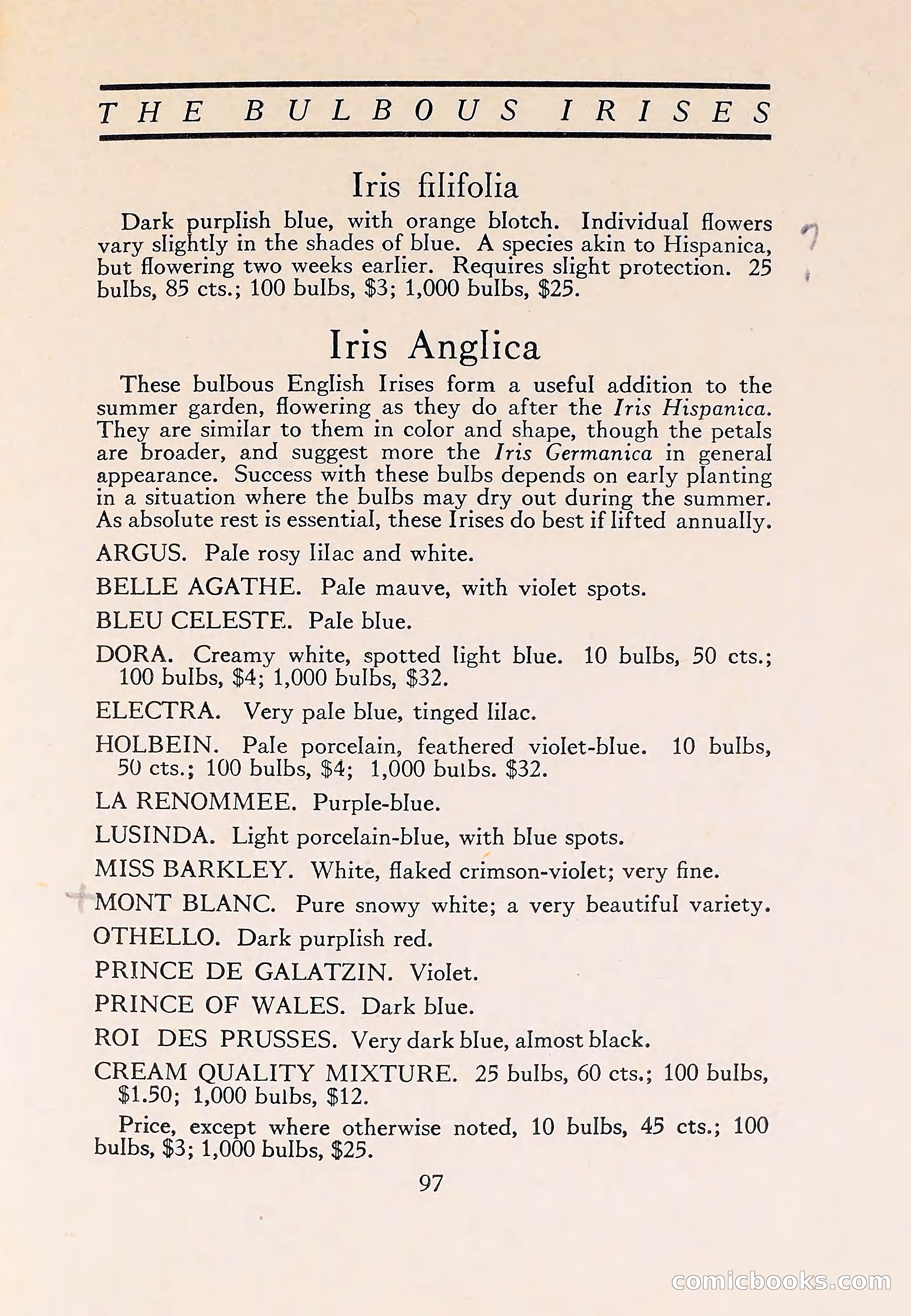 The Blue Book of Bulbs — page 101 of 110