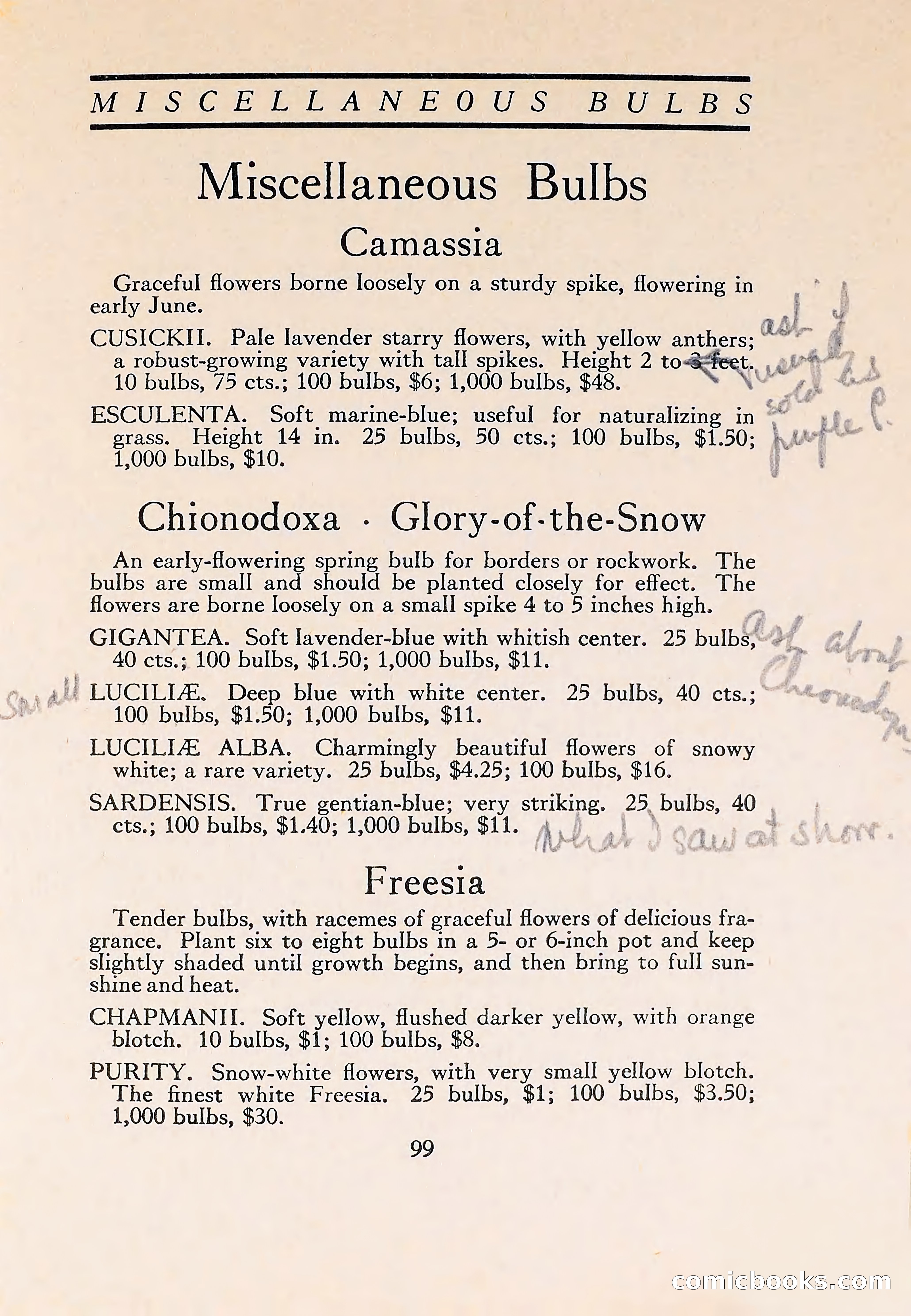 The Blue Book of Bulbs — page 103 of 110