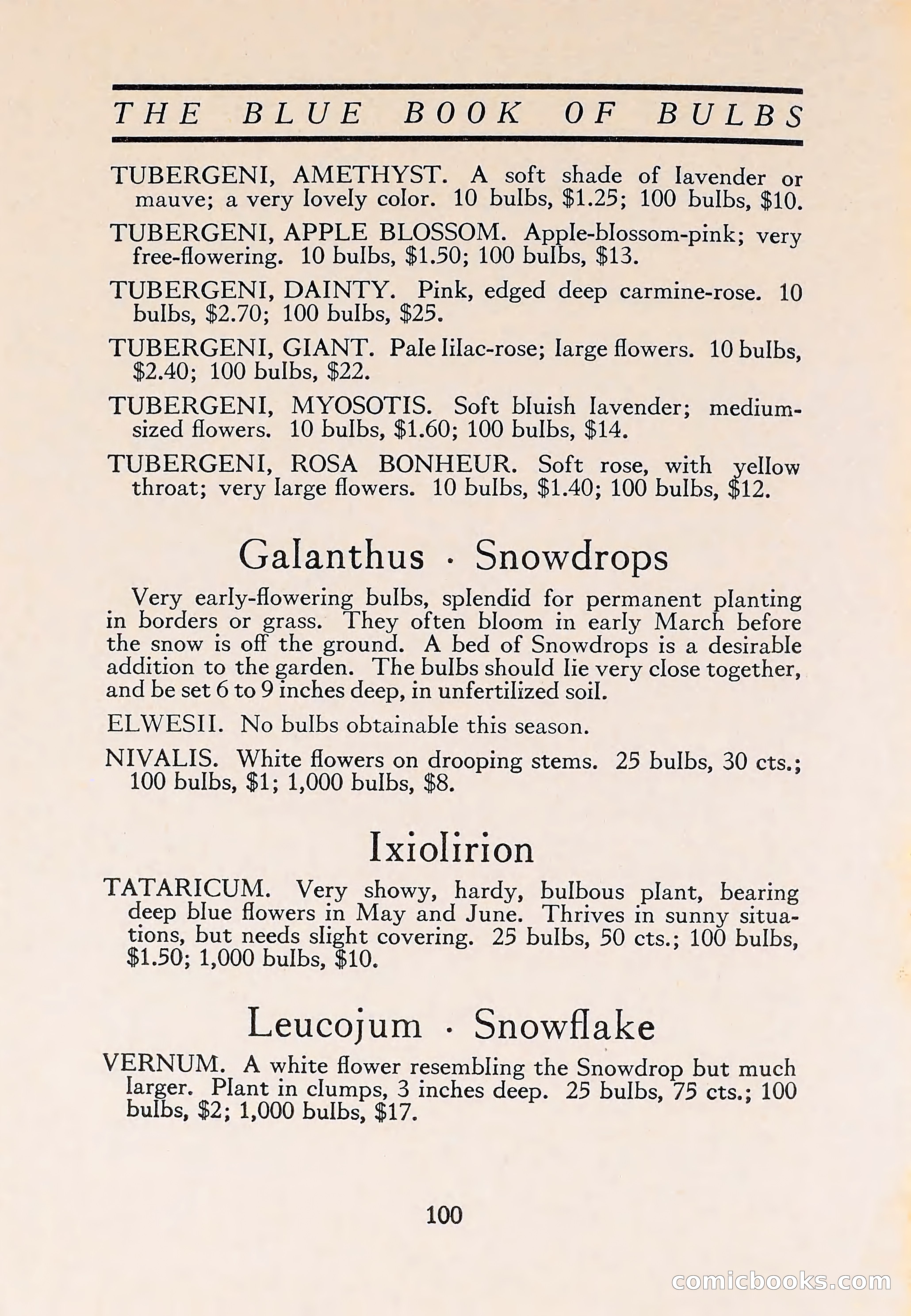 The Blue Book of Bulbs — page 104 of 110
