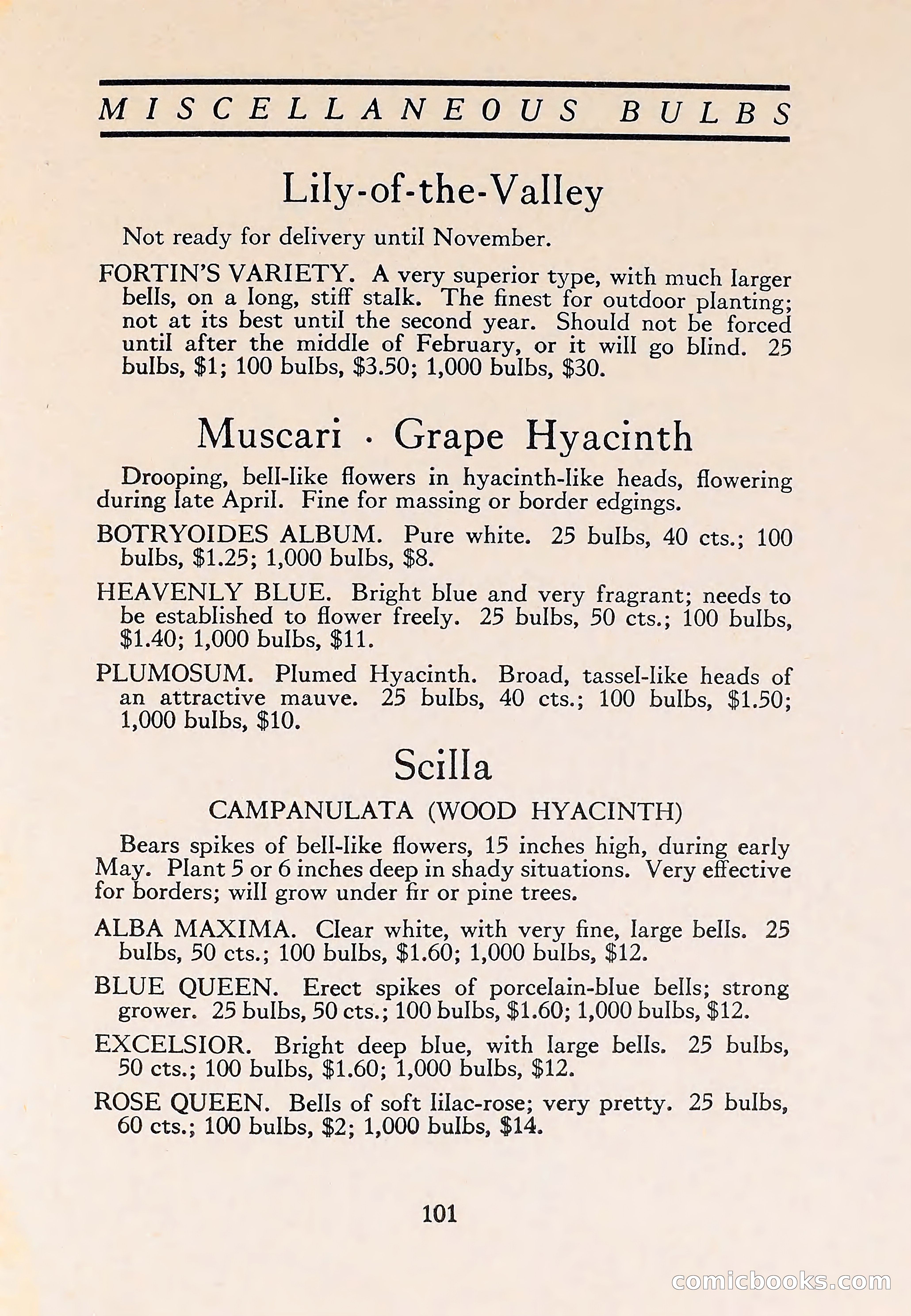 The Blue Book of Bulbs — page 105 of 110