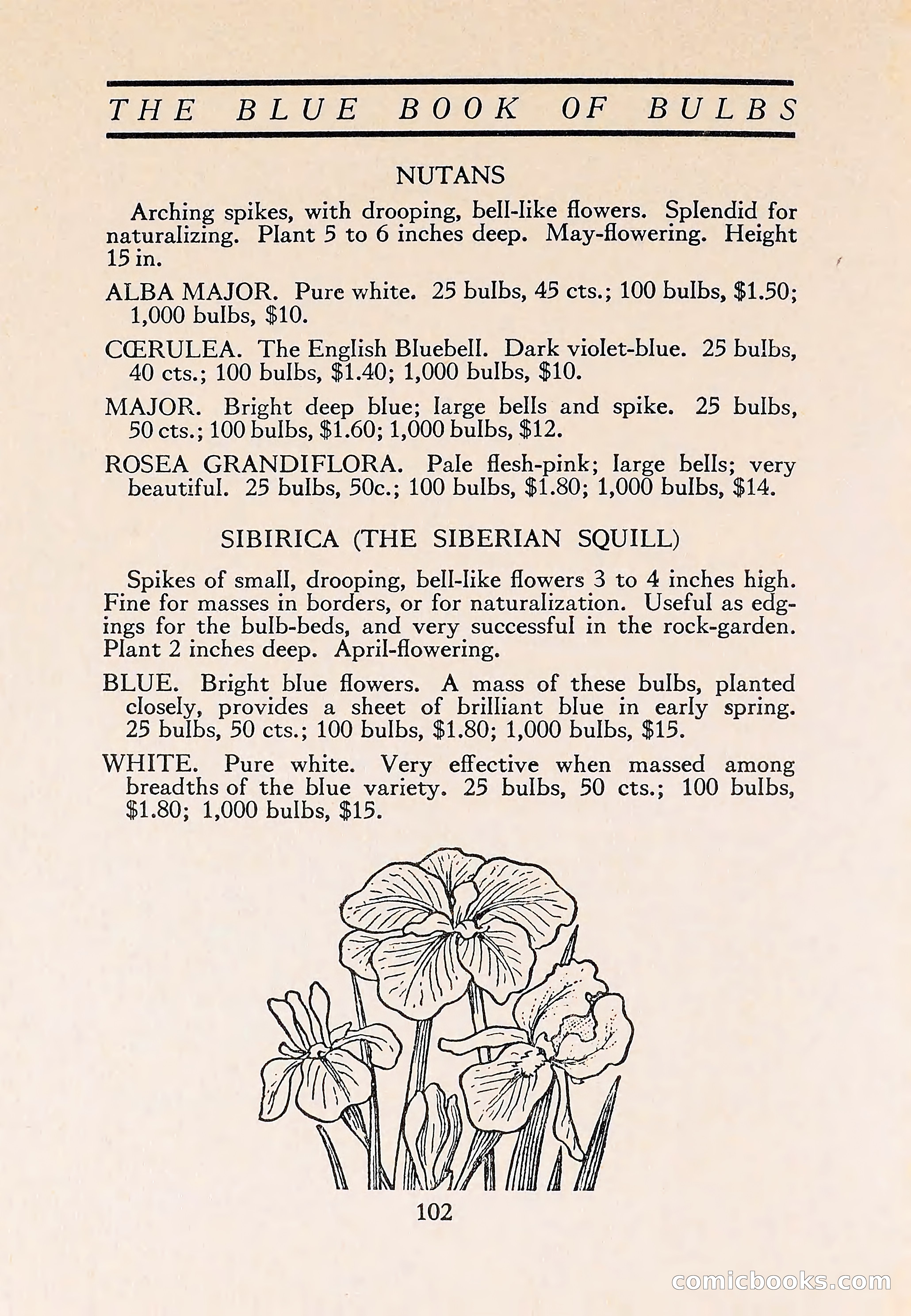 The Blue Book of Bulbs — page 106 of 110