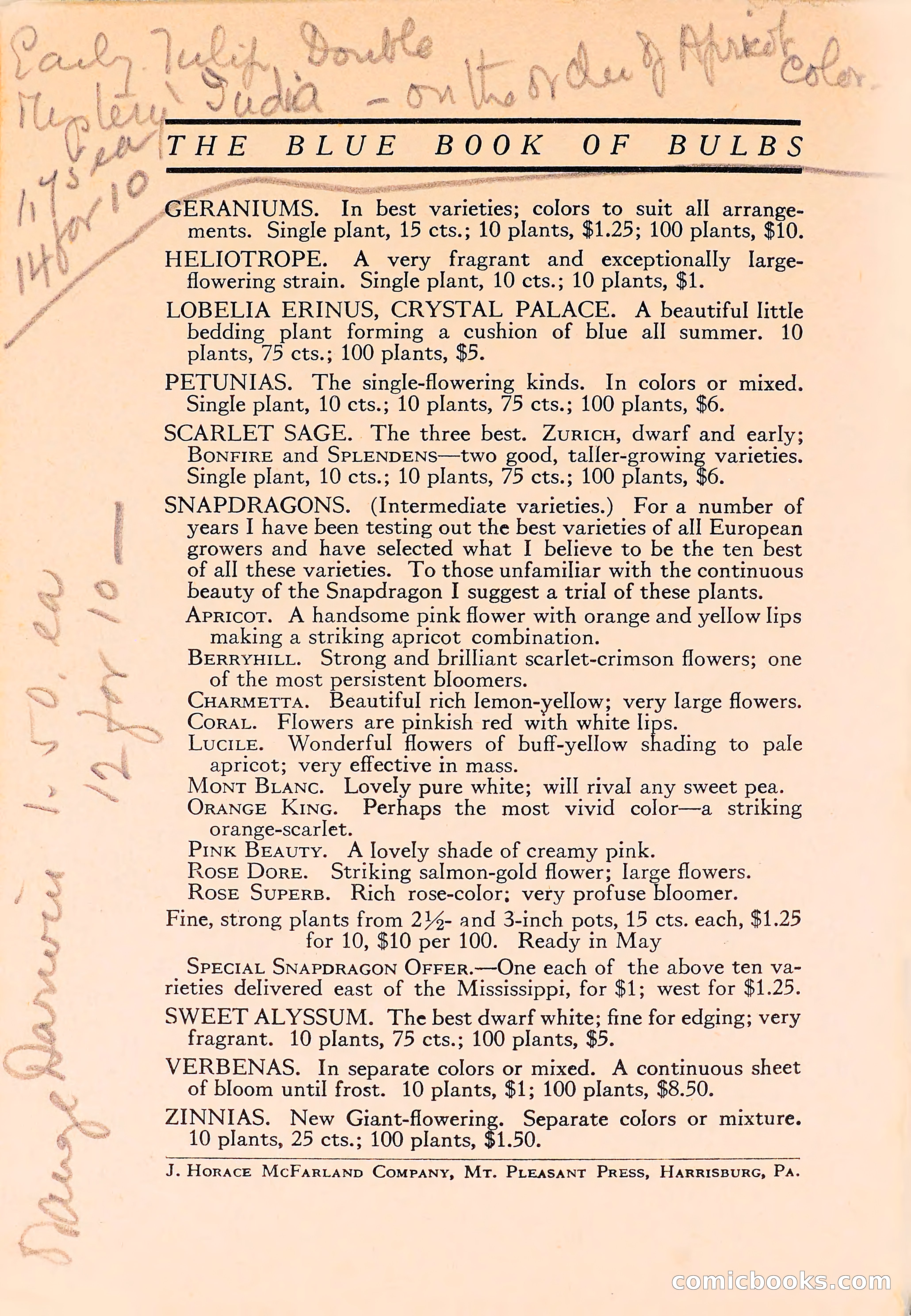 The Blue Book of Bulbs — page 108 of 110