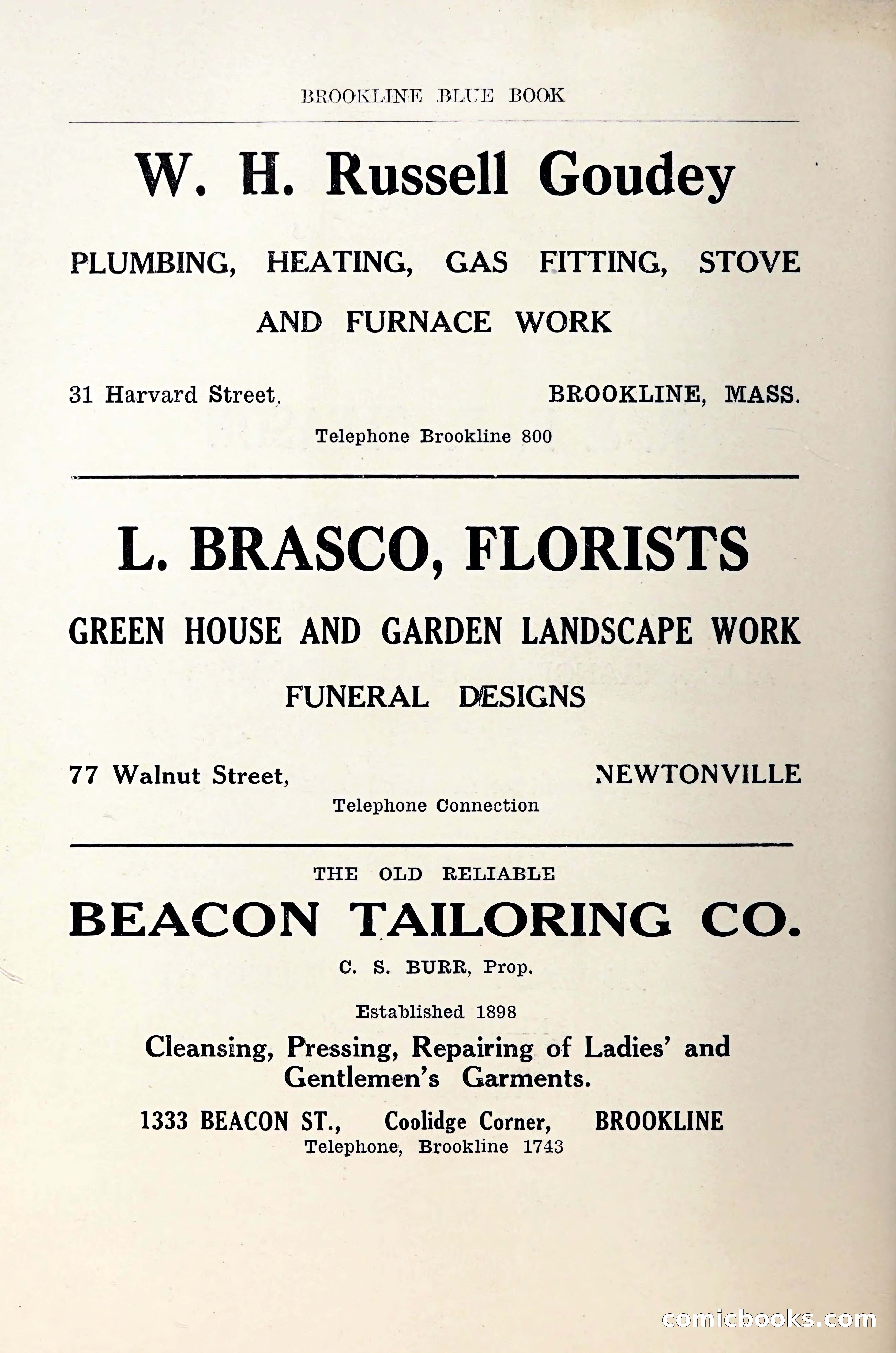 Blue Book of Brookline — page 61 of 305