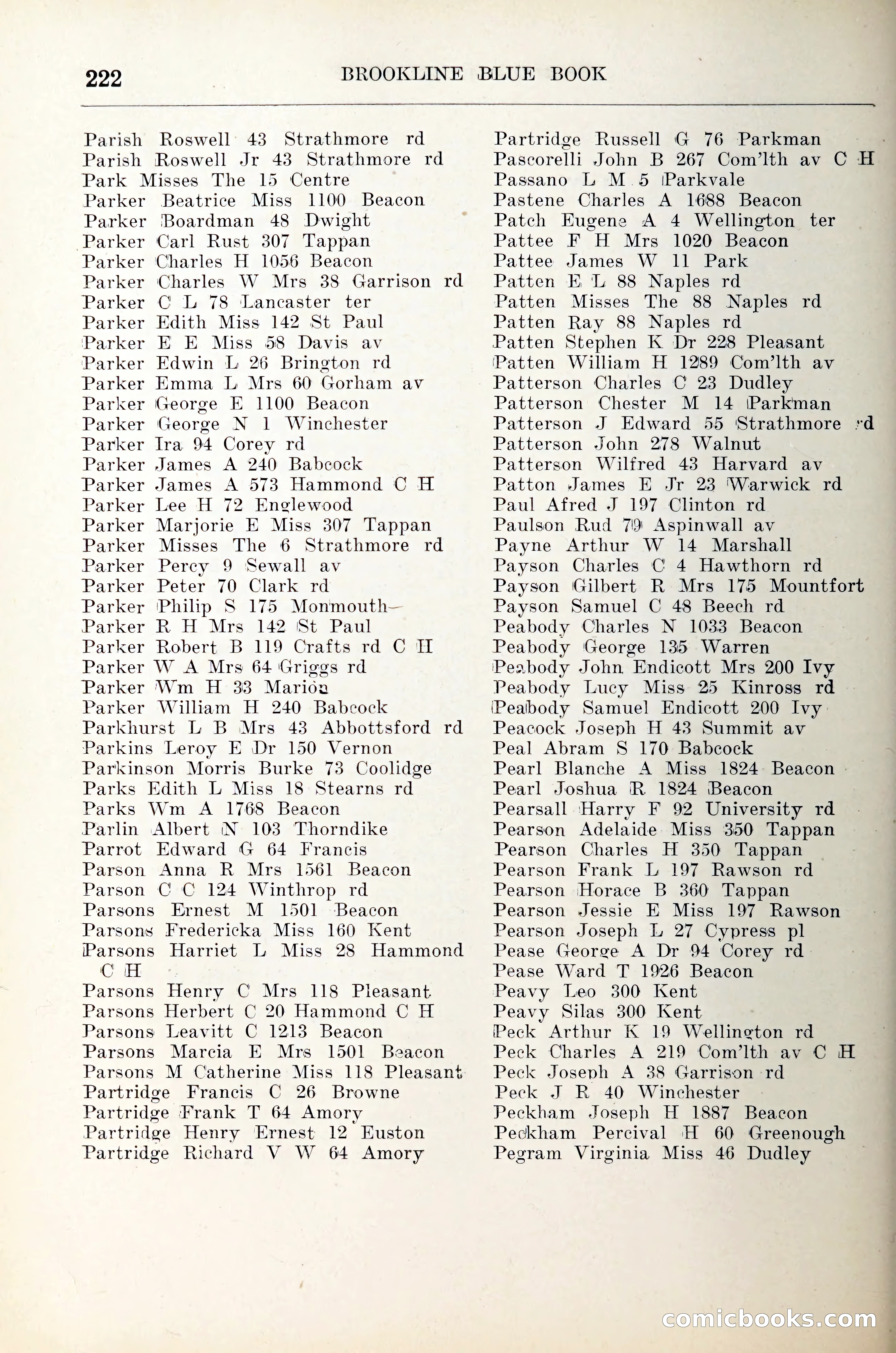 Blue Book of Brookline — page 243 of 305