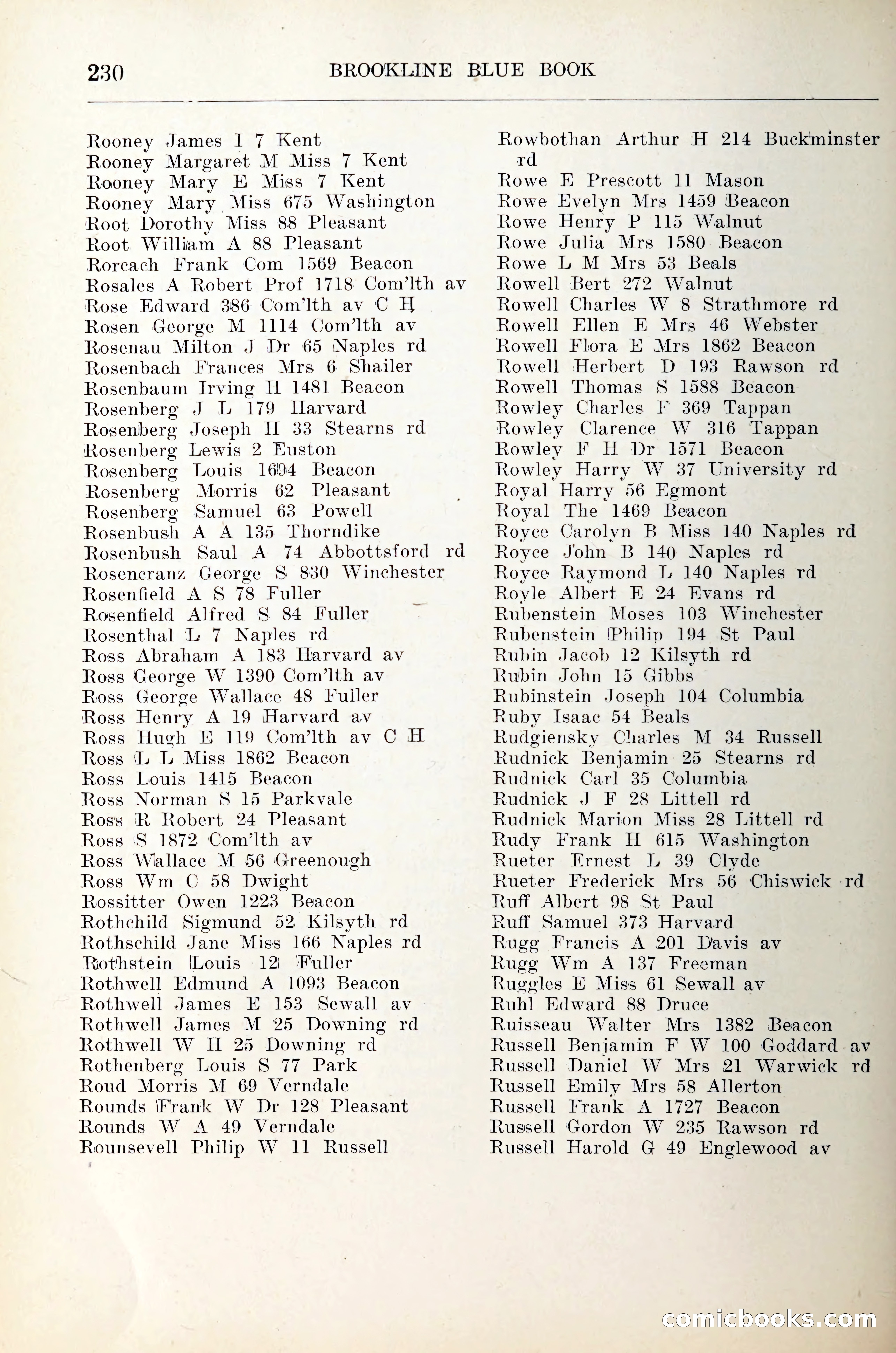 Blue Book of Brookline — page 251 of 305