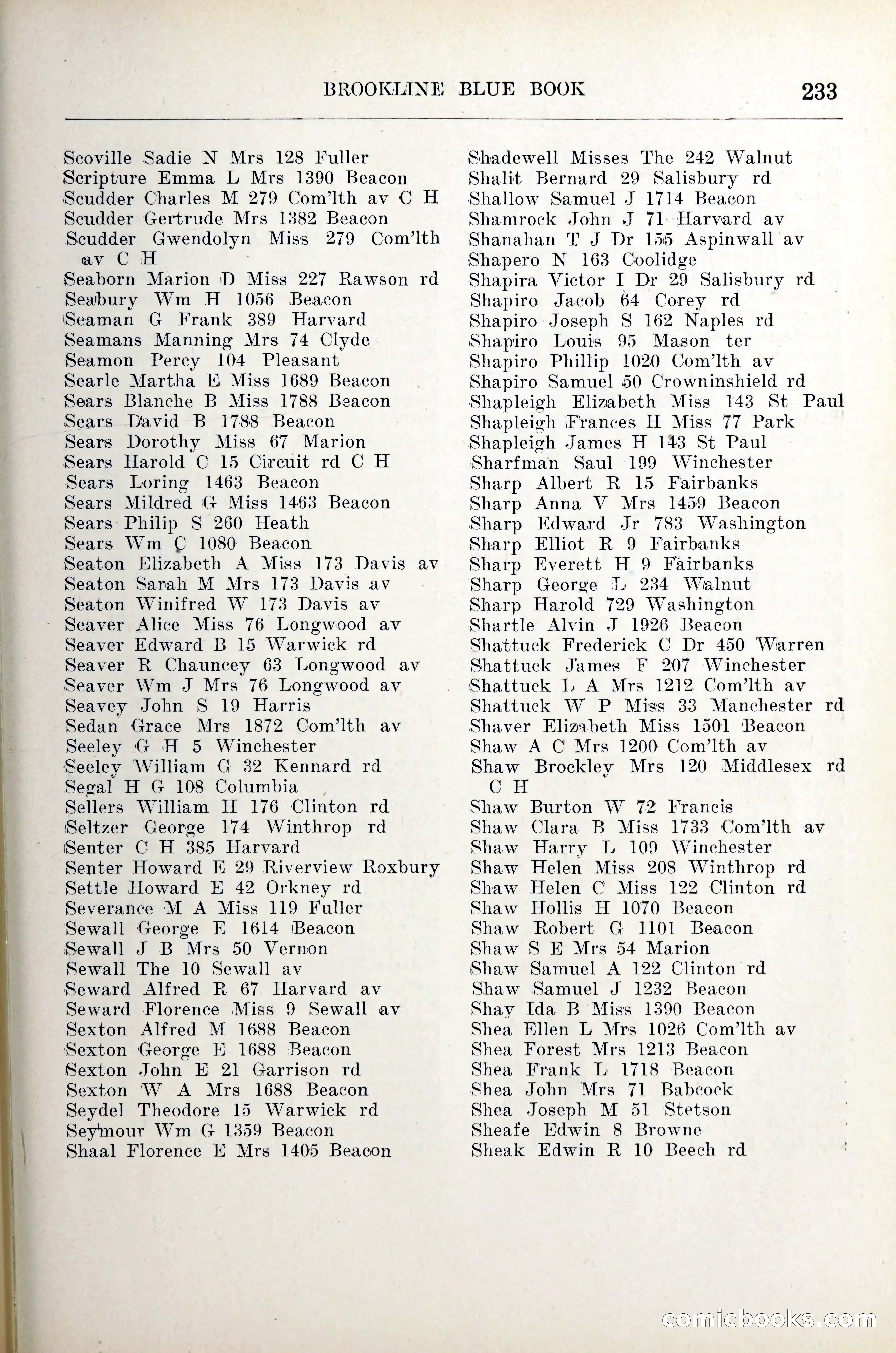 Blue Book of Brookline — page 254 of 305