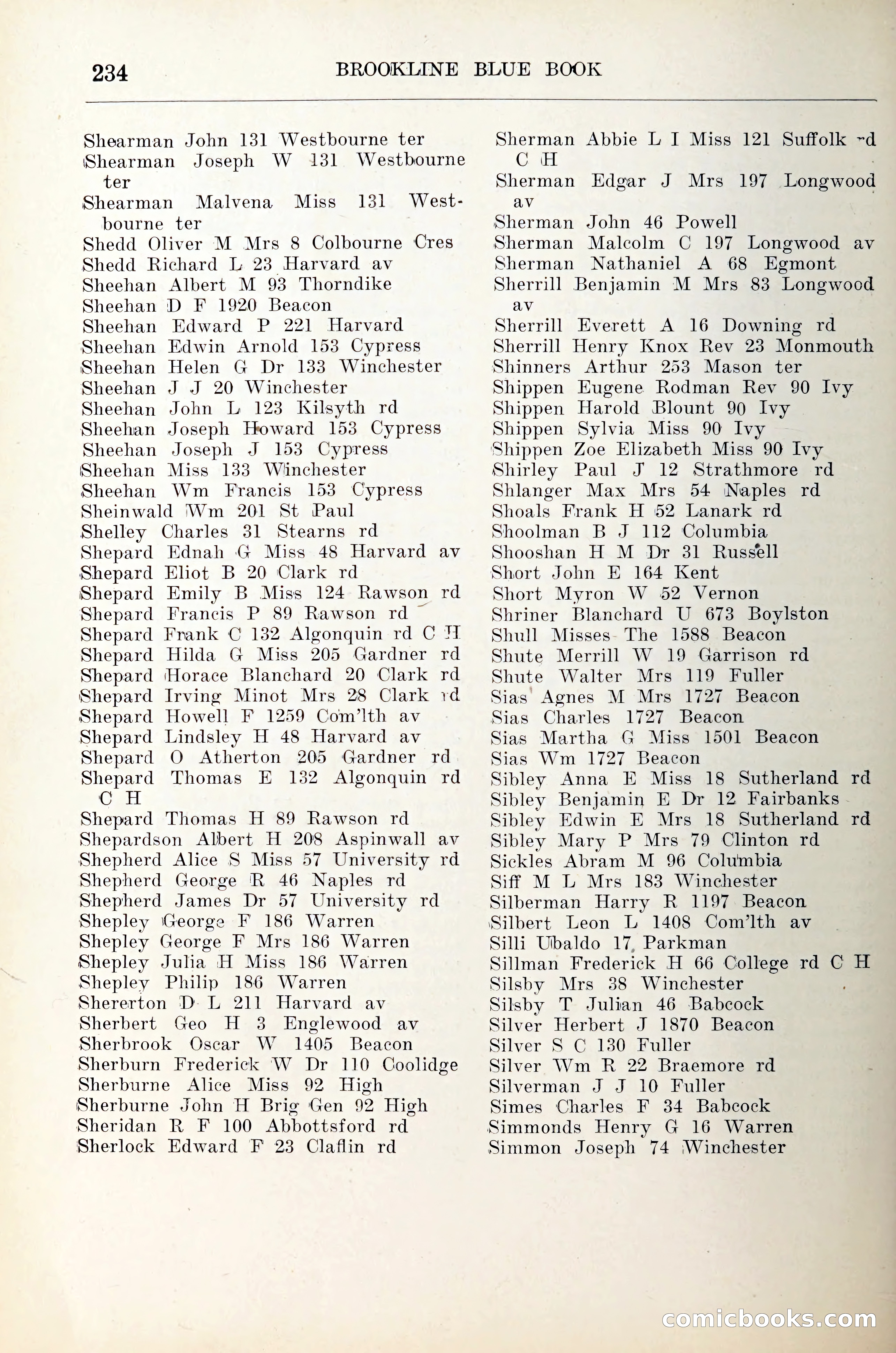 Blue Book of Brookline — page 255 of 305