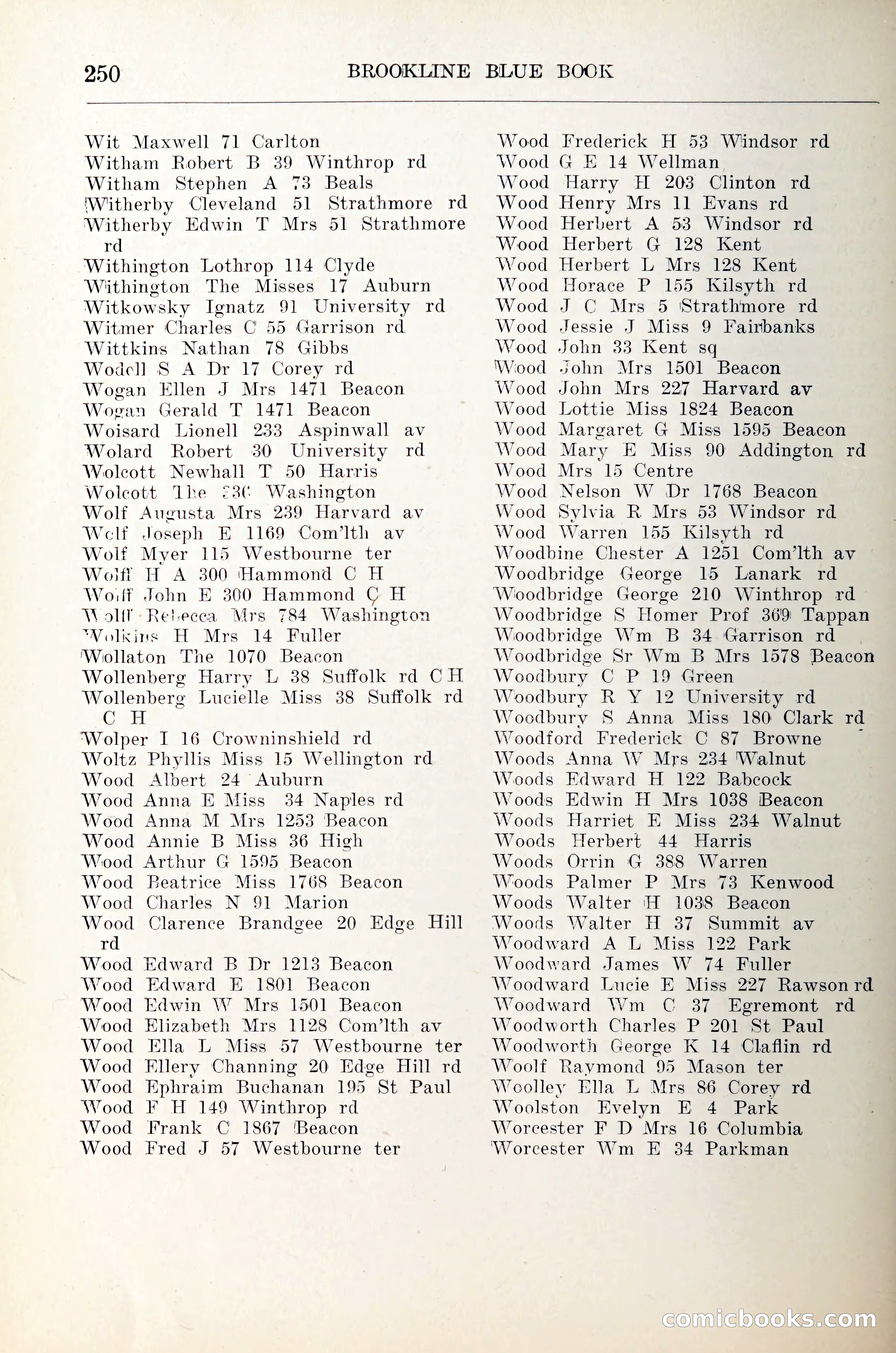 Blue Book of Brookline — page 271 of 305