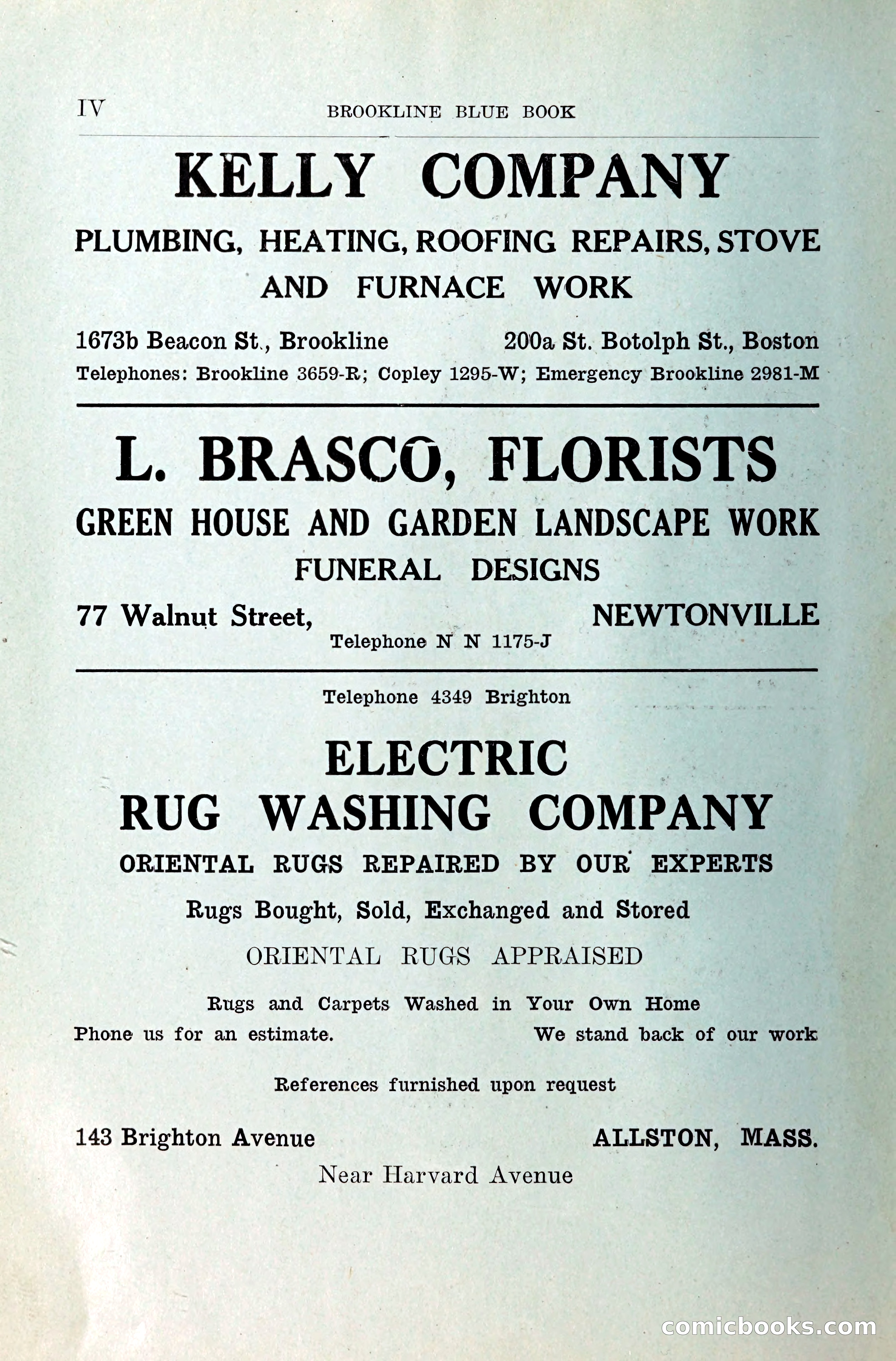 Blue Book of Brookline — page 5 of 354