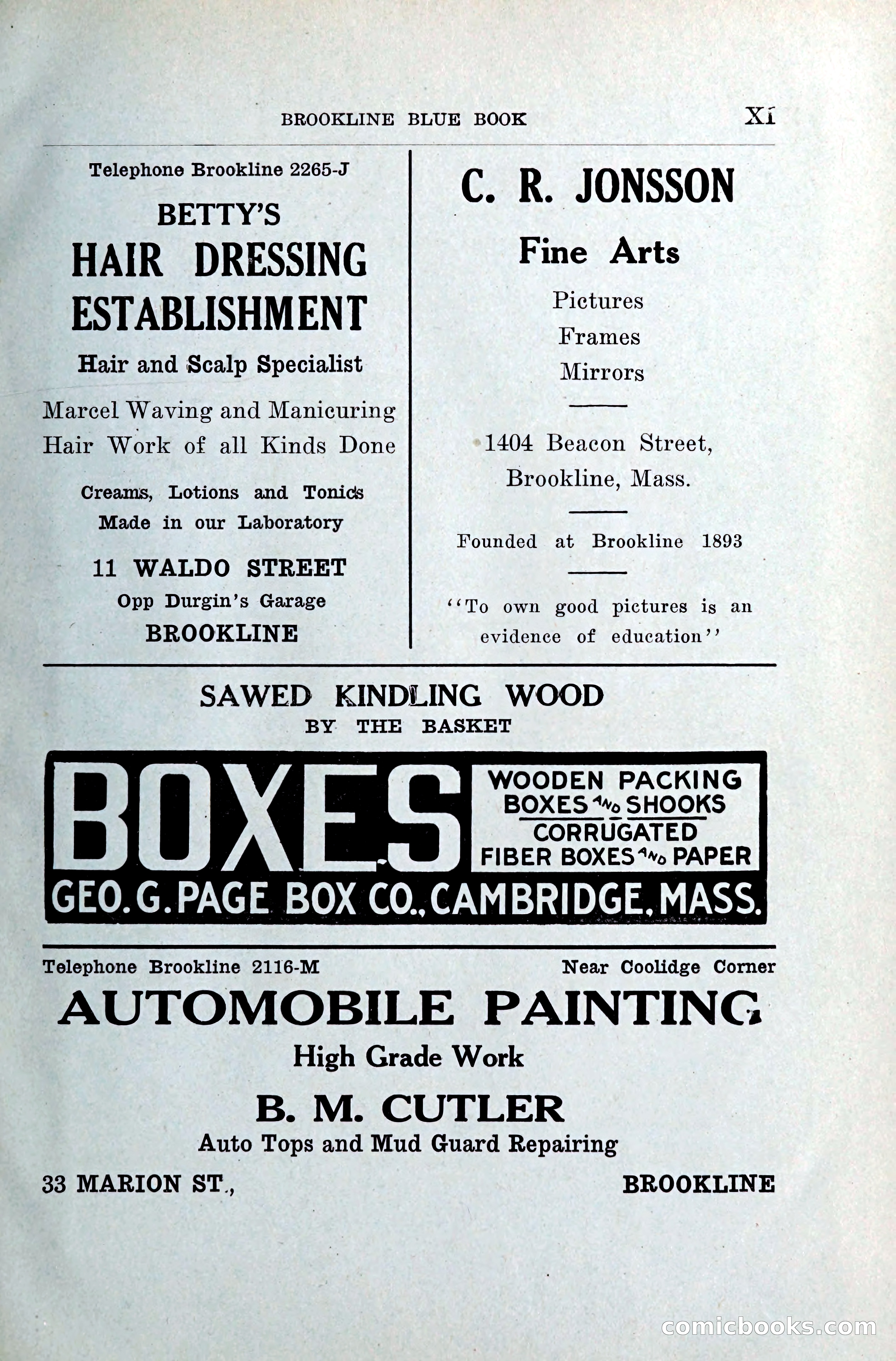 Blue Book of Brookline — page 12 of 354