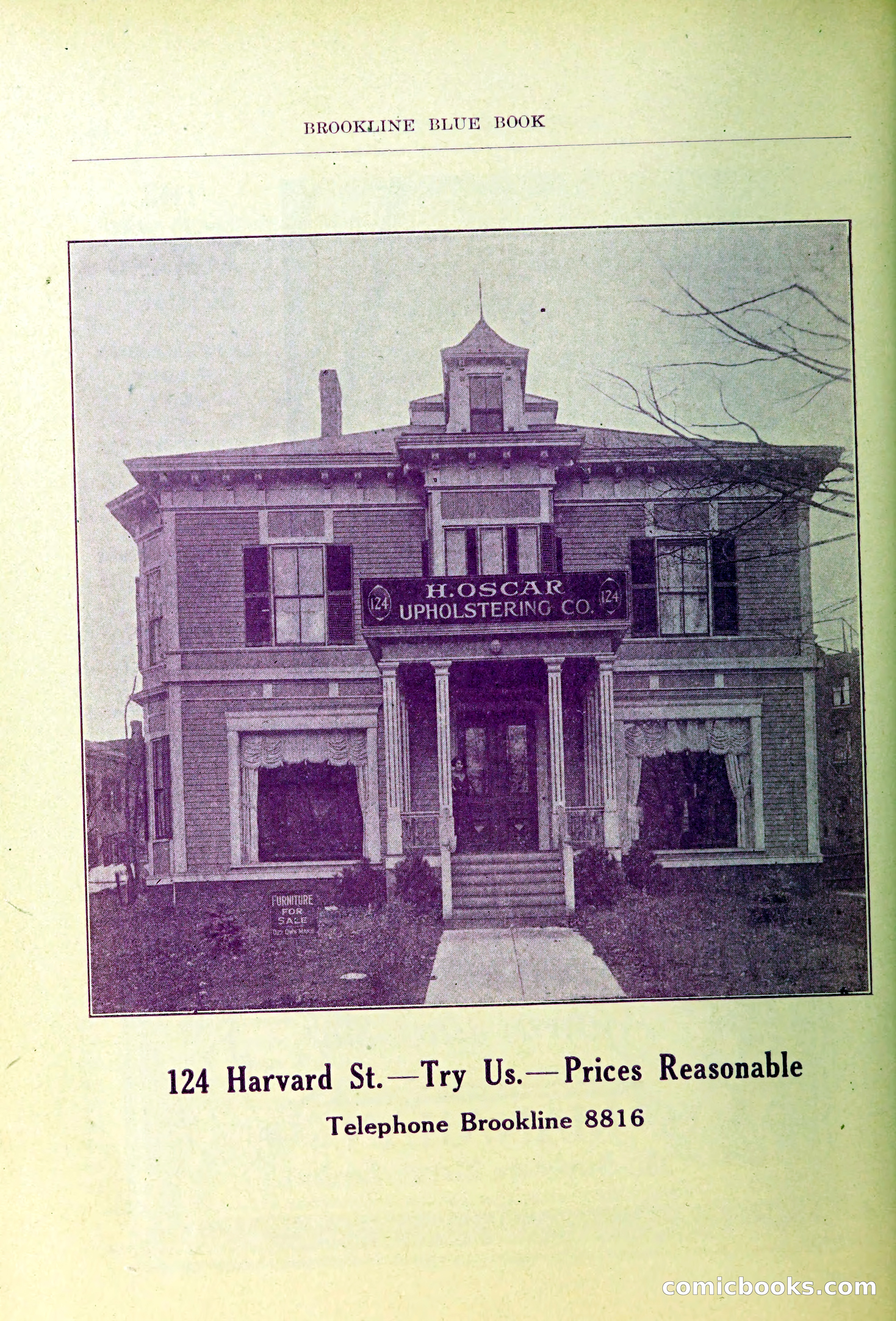 Blue Book of Brookline — page 91 of 354