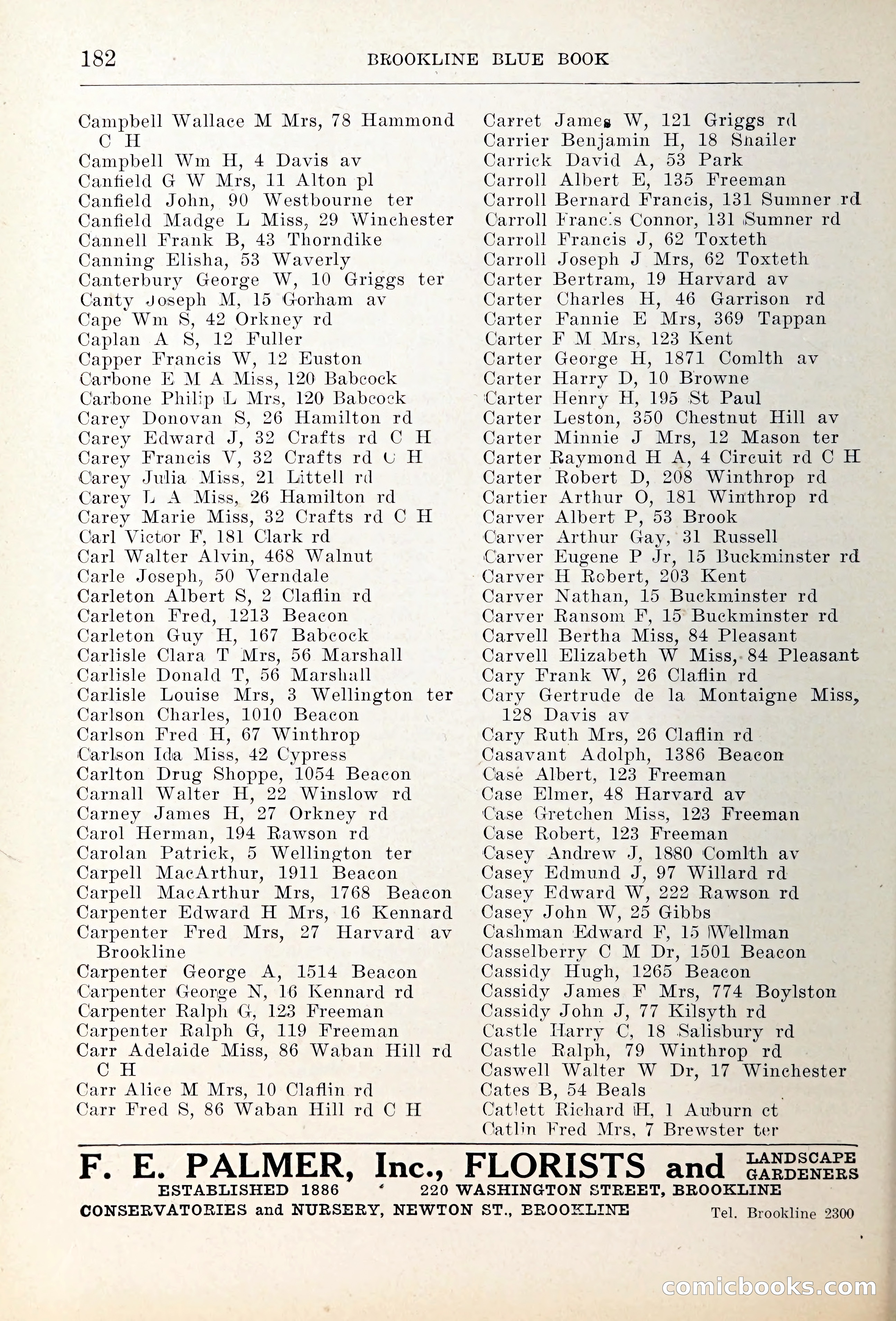 Blue Book of Brookline — page 217 of 354