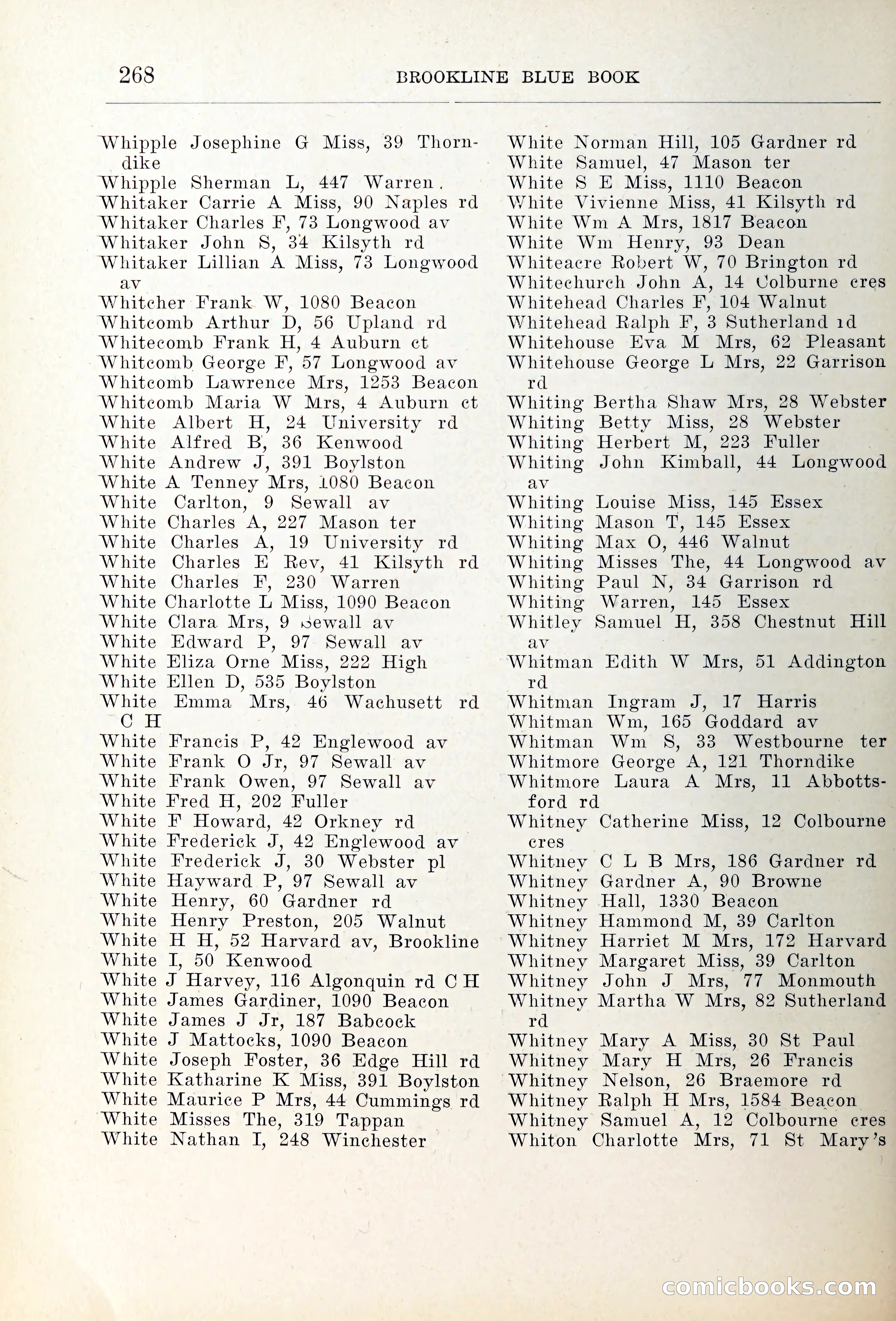 Blue Book of Brookline — page 303 of 354