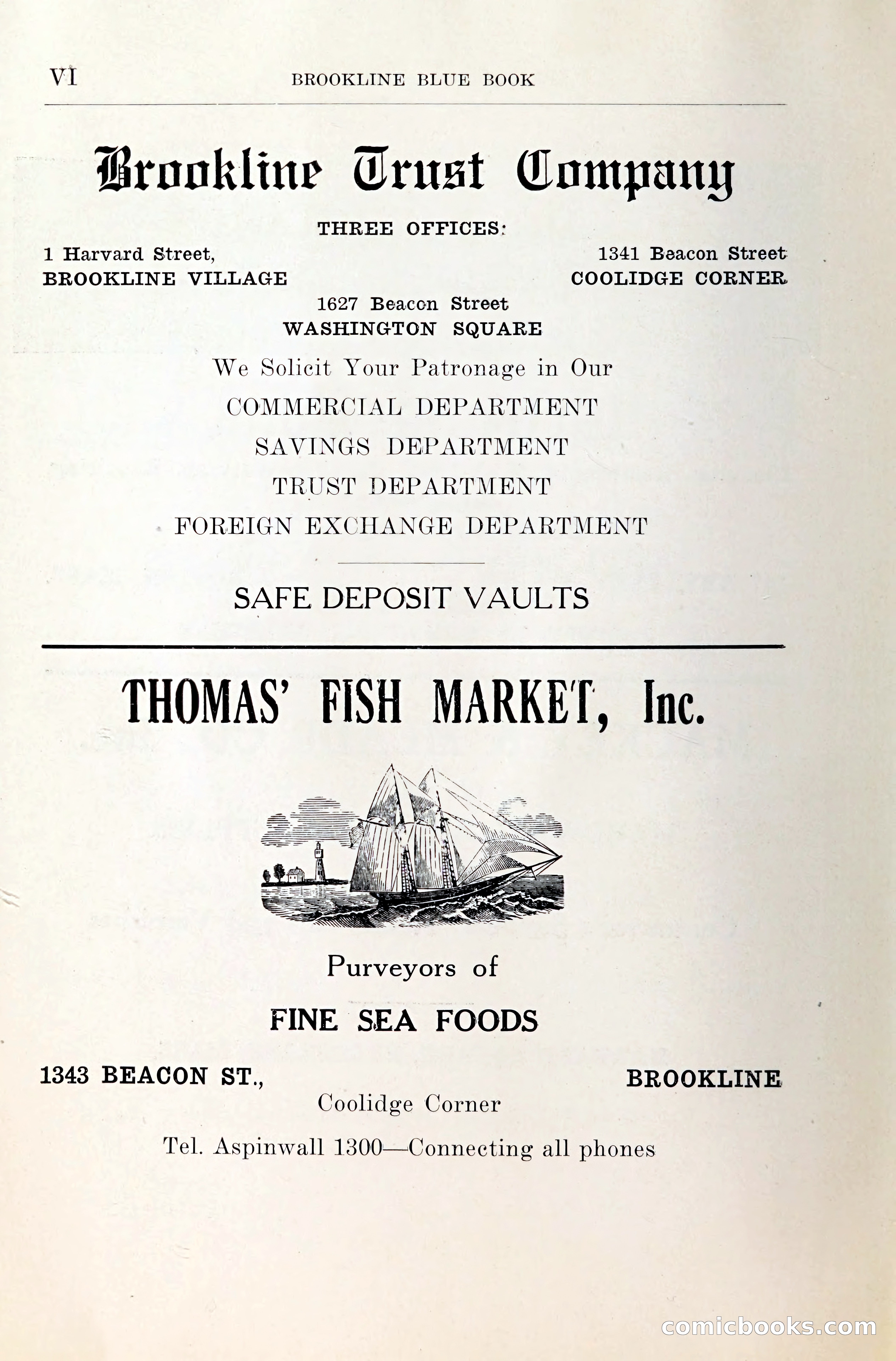 Blue Book of Brookline and Longwood — page 7 of 349