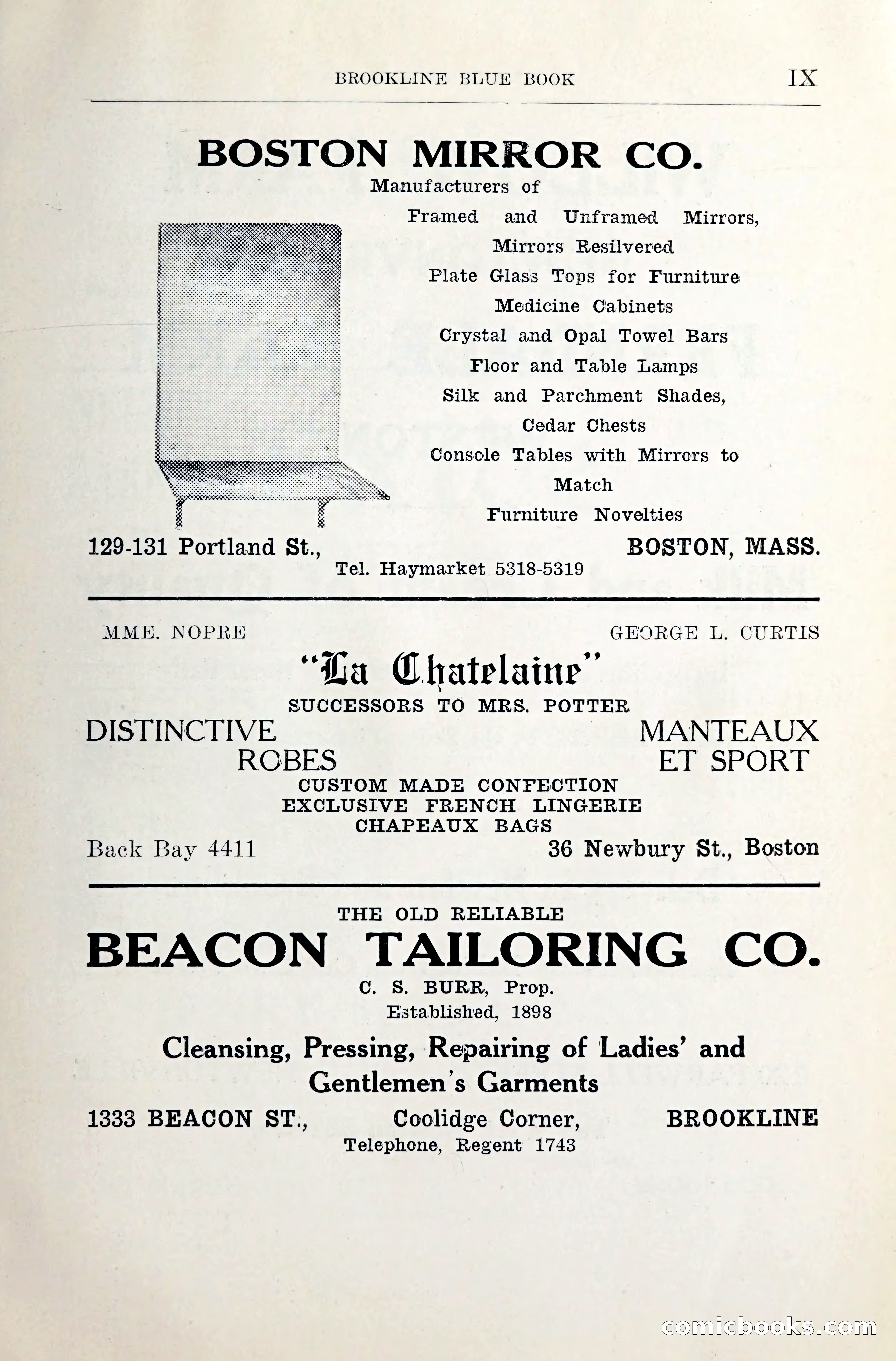 Blue Book of Brookline and Longwood — page 10 of 349