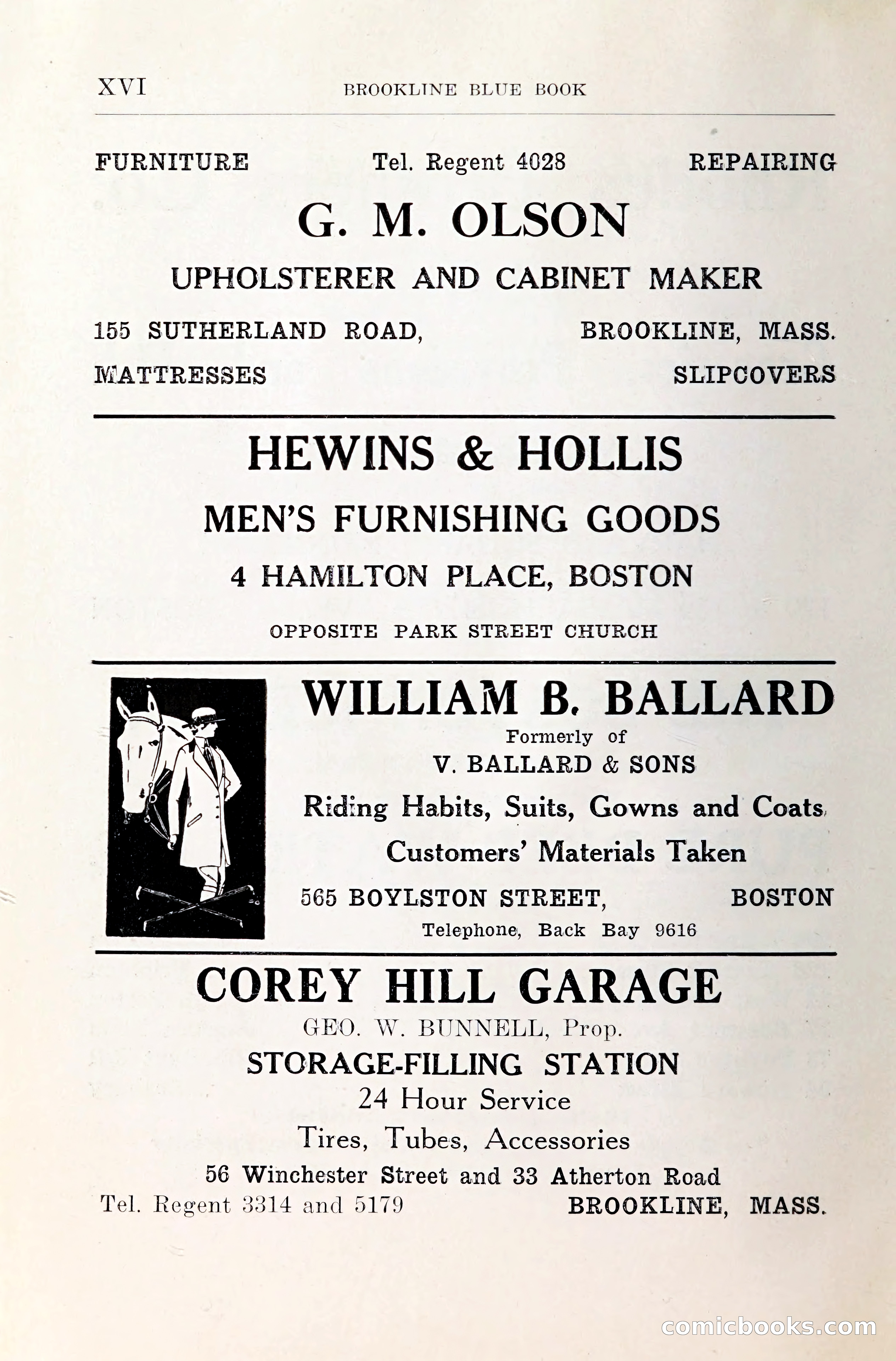 Blue Book of Brookline and Longwood — page 17 of 349