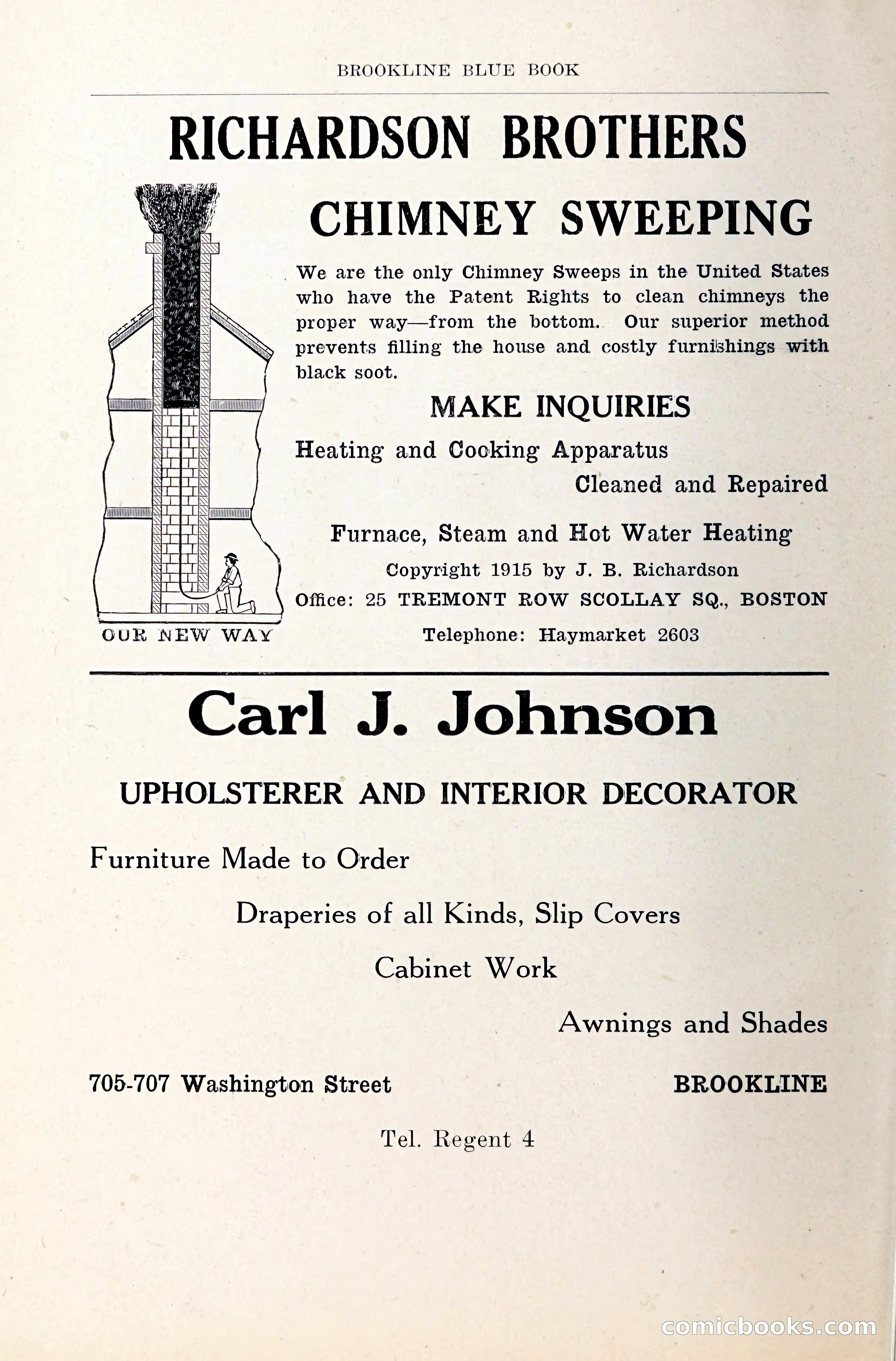 Blue Book of Brookline and Longwood — page 29 of 349